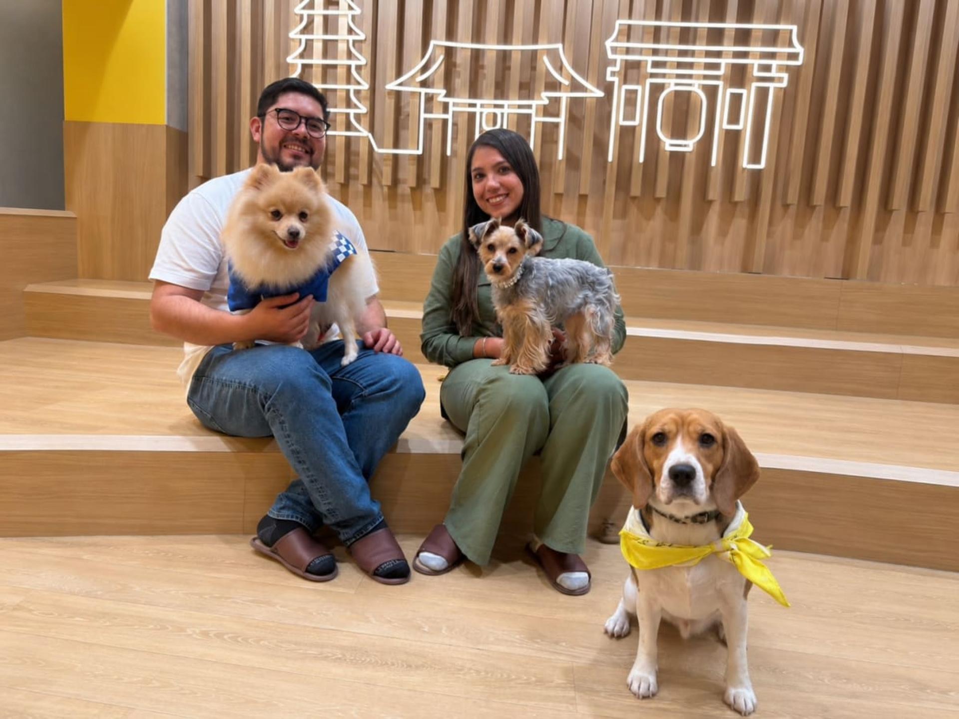 Play with Dogs at Dog Cafe Rio Asakusa [Dog Cafe Rio Asakusa] - Image 1