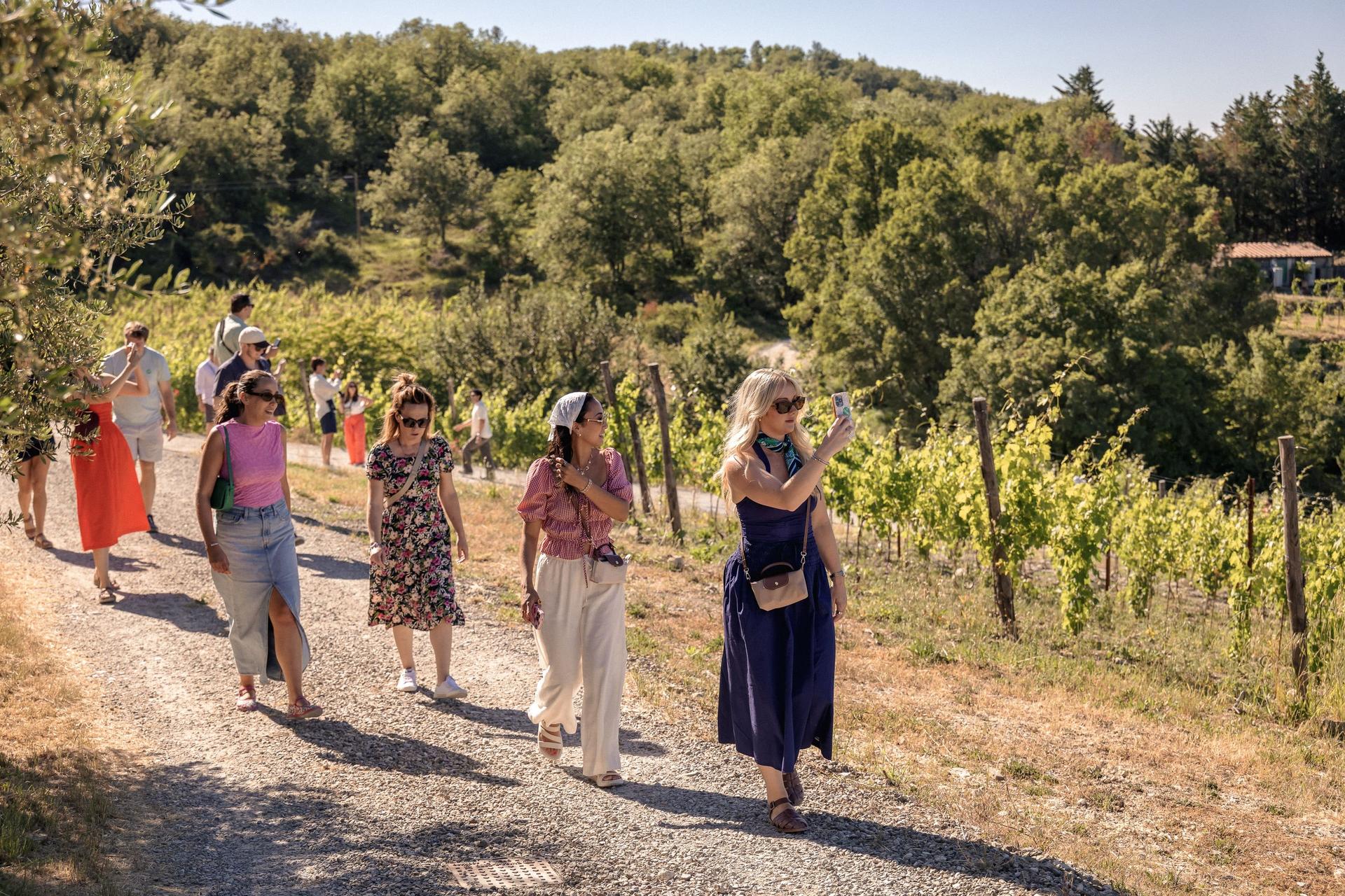 Chianti Wine Tastings Tour with Optional Cooking Experience - Thumbnail 4
