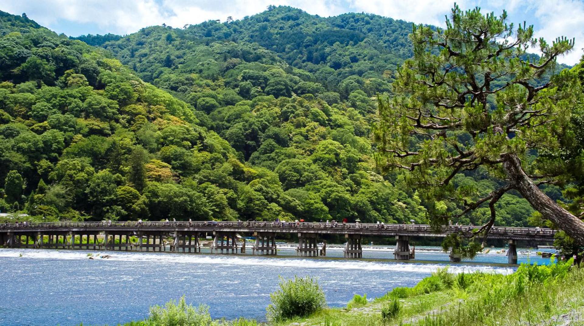 Kyoto: Arashiyama Bamboo, Matcha, Monkeys & Temple Tour - Thumbnail 7