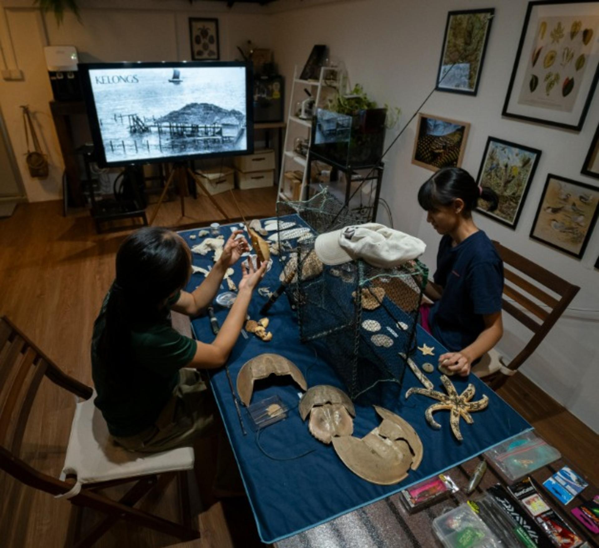 Stories from the Shore: Artefacts of Singapore’s Coastal Past - Thumbnail 11