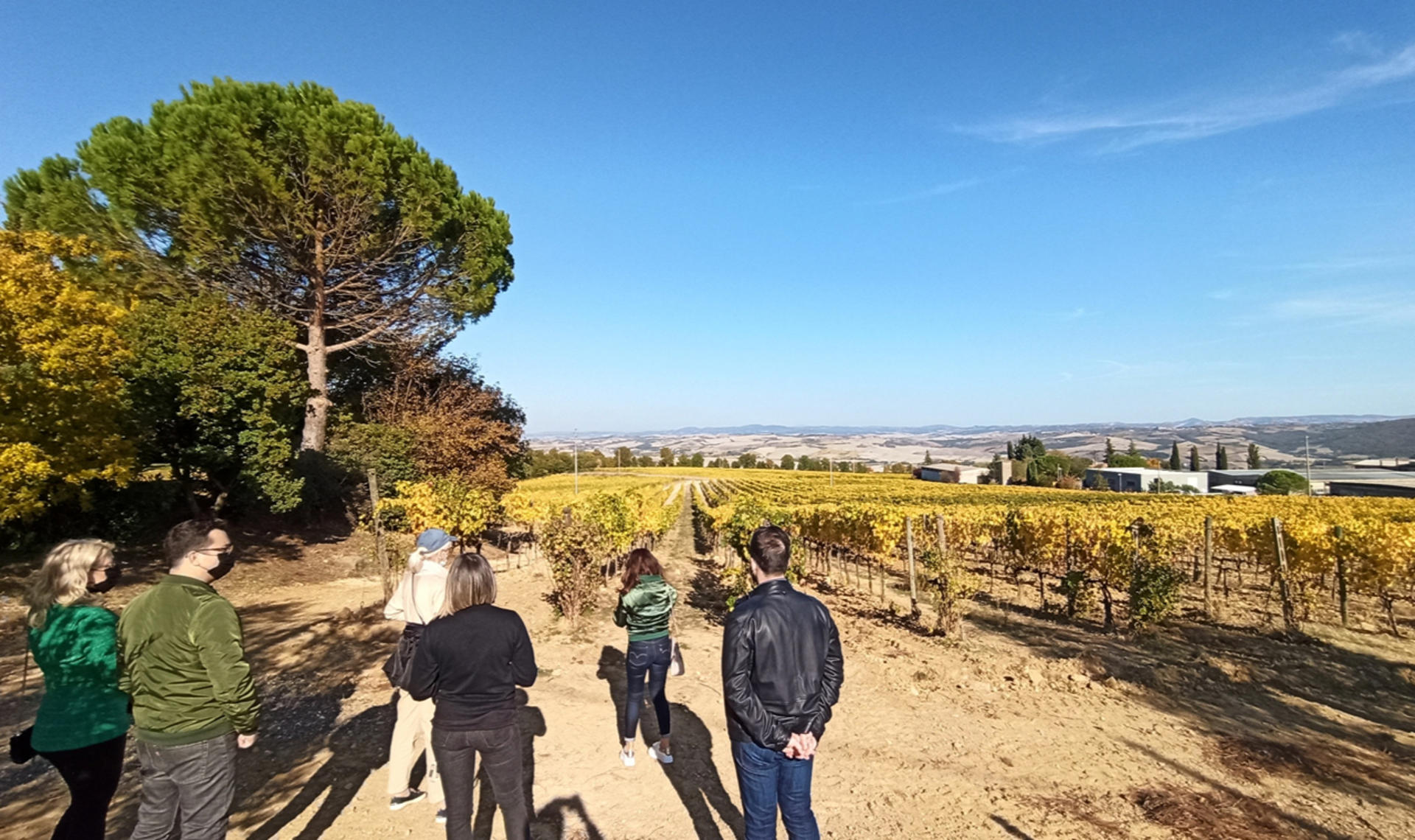 Val d'Orcia wine & cheese tasting experience from Florence - Thumbnail 3