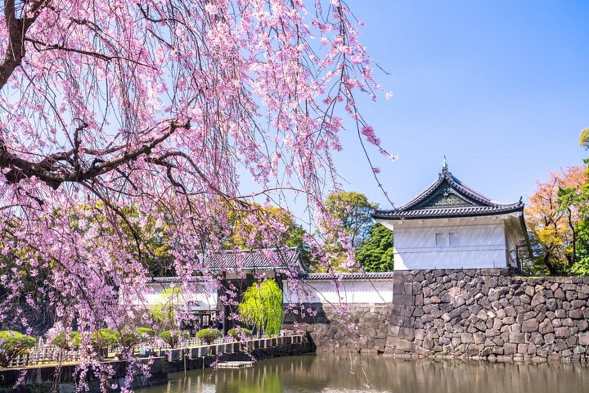  Tokyo Private Walking Tour of the Imperial Palace East Gardens - Thumbnail 6
