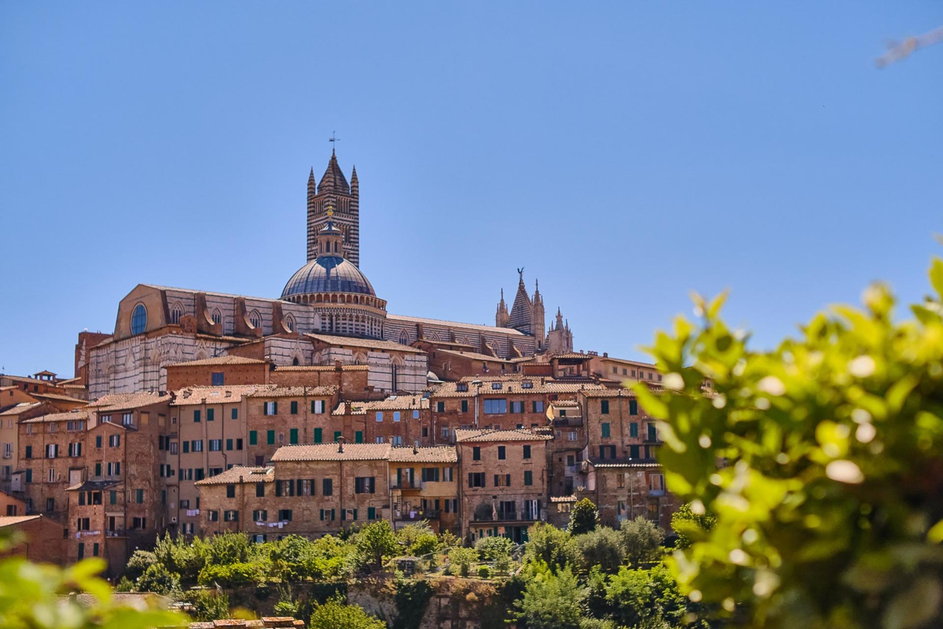 Siena, San Gimignano, Monteriggioni, and Chianti Wine Tasting Tour - Thumbnail 3