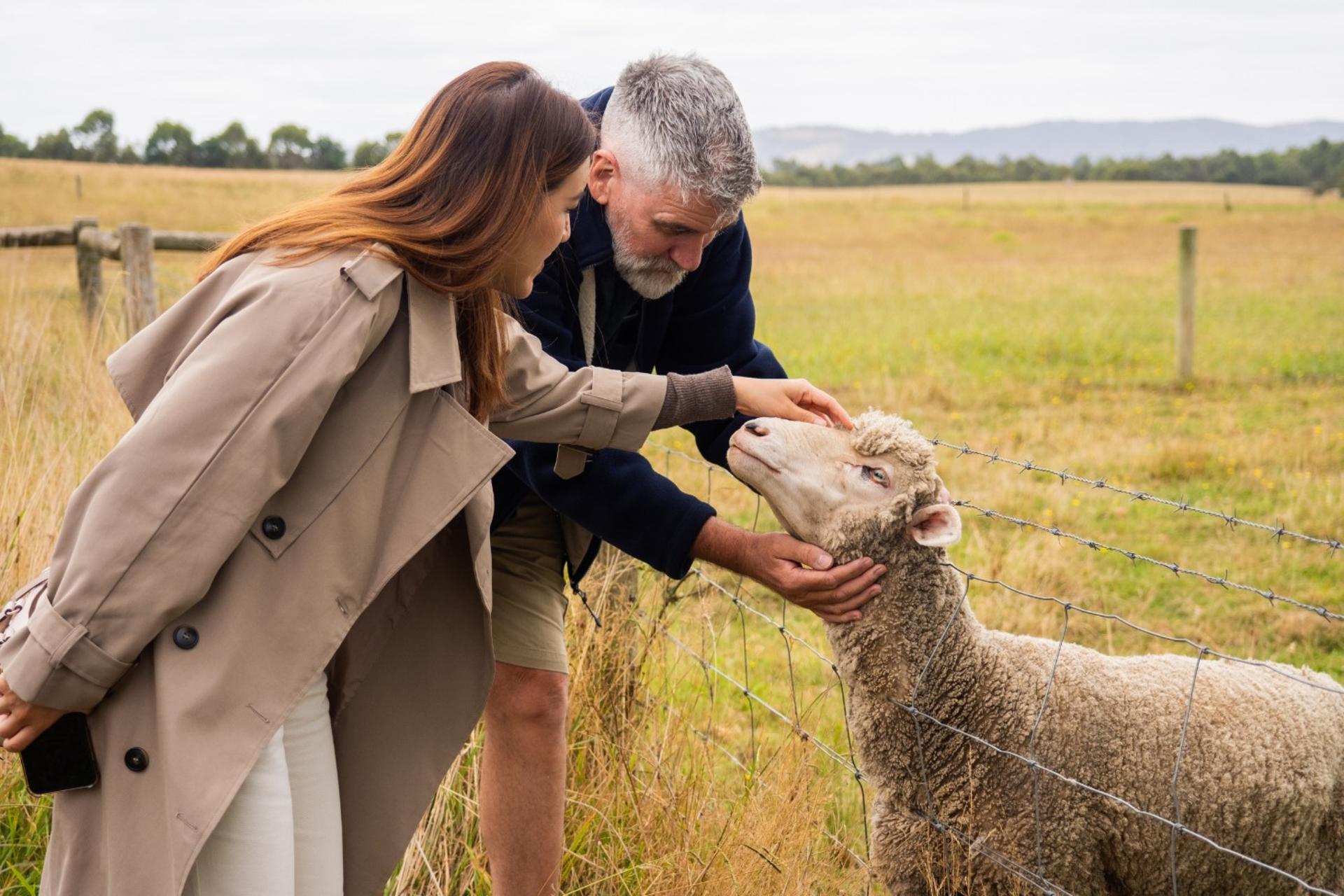 Yarra Valley Grazing Tour: Wine, Gin, Cheese & Chocolate Experience - Thumbnail 5