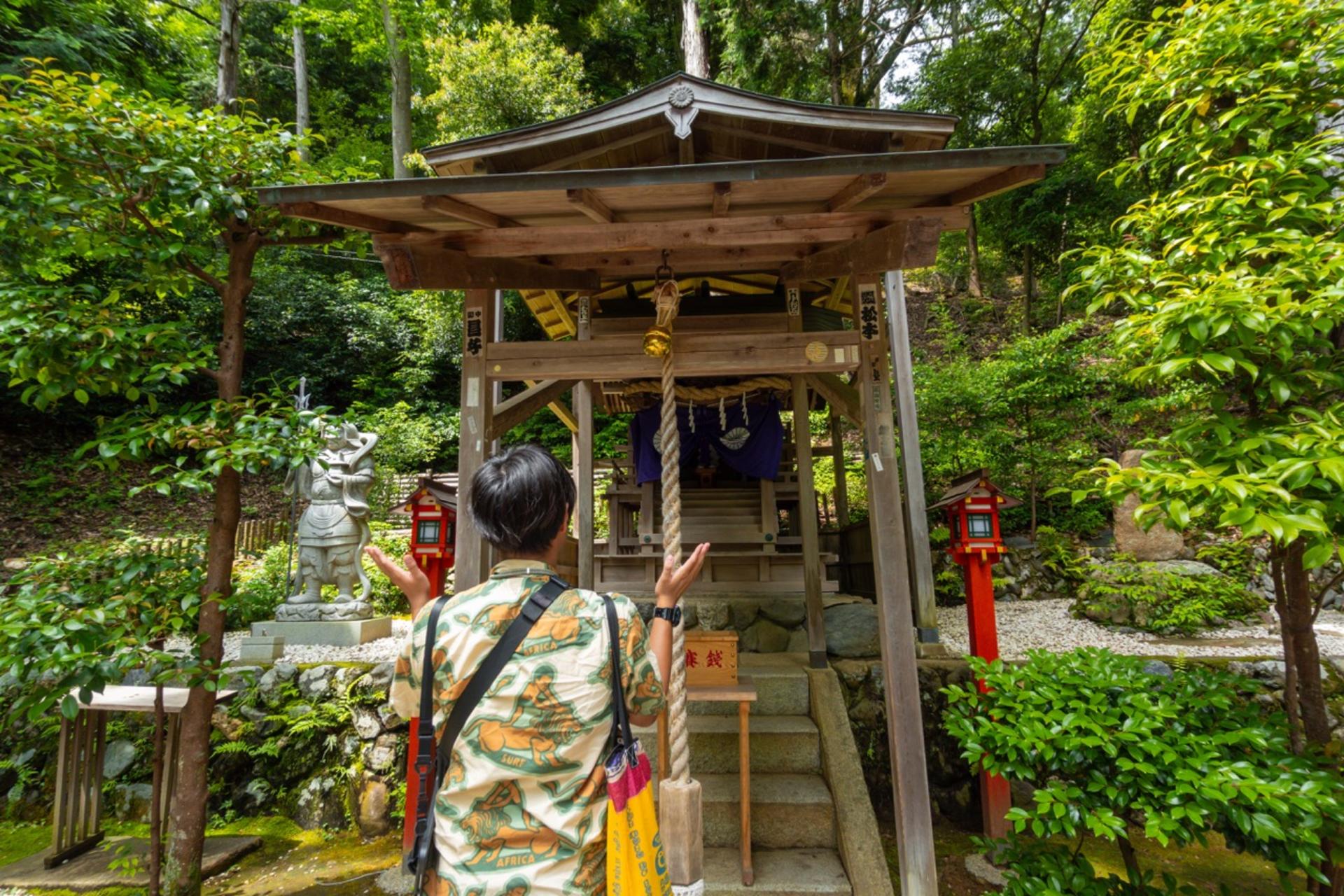 Kyoto: Arashiyama Unveiled – Bamboo, Temple, Matcha, Monkeys - Thumbnail 12