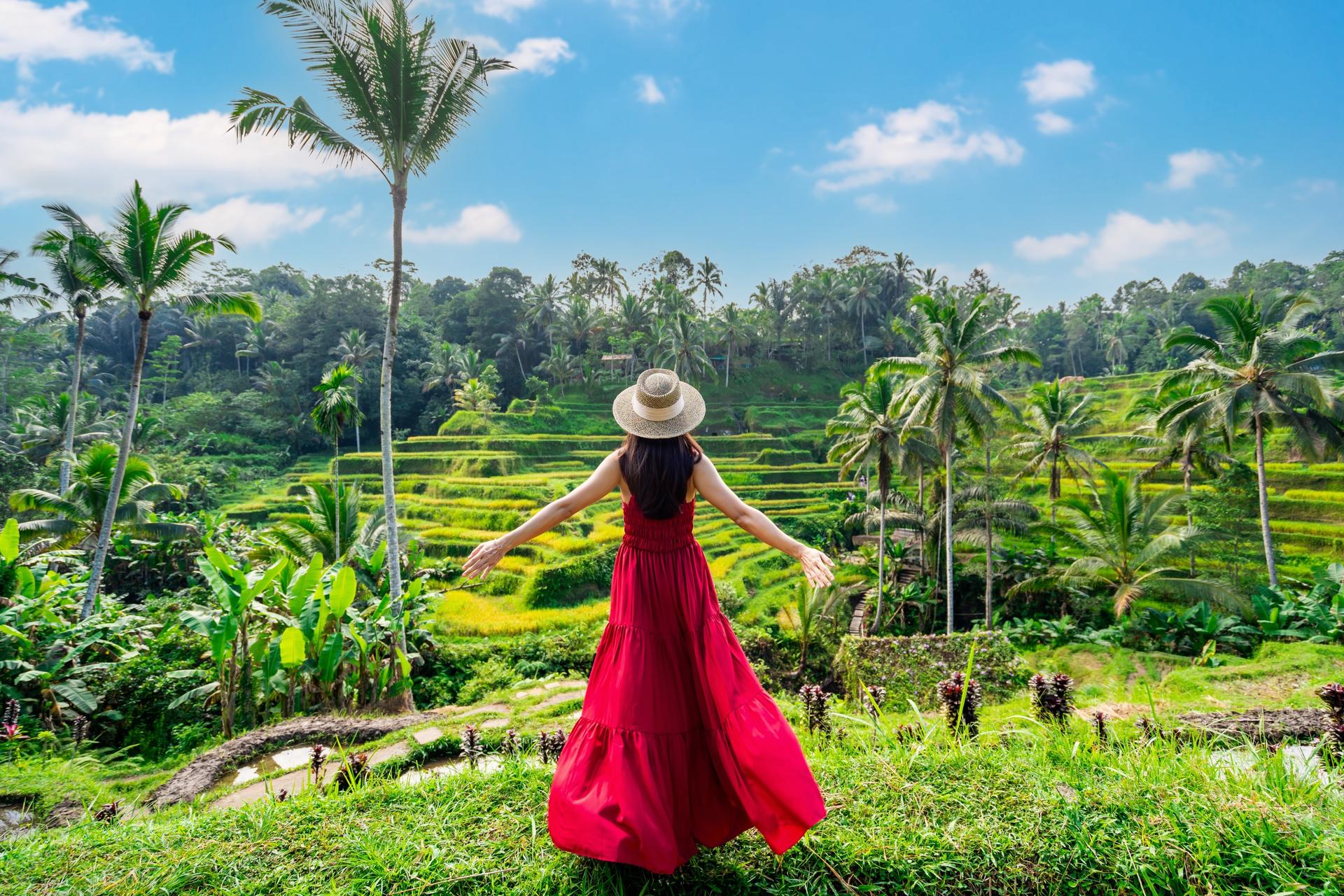 Ubud Highlights Private Day Tour - Image 1