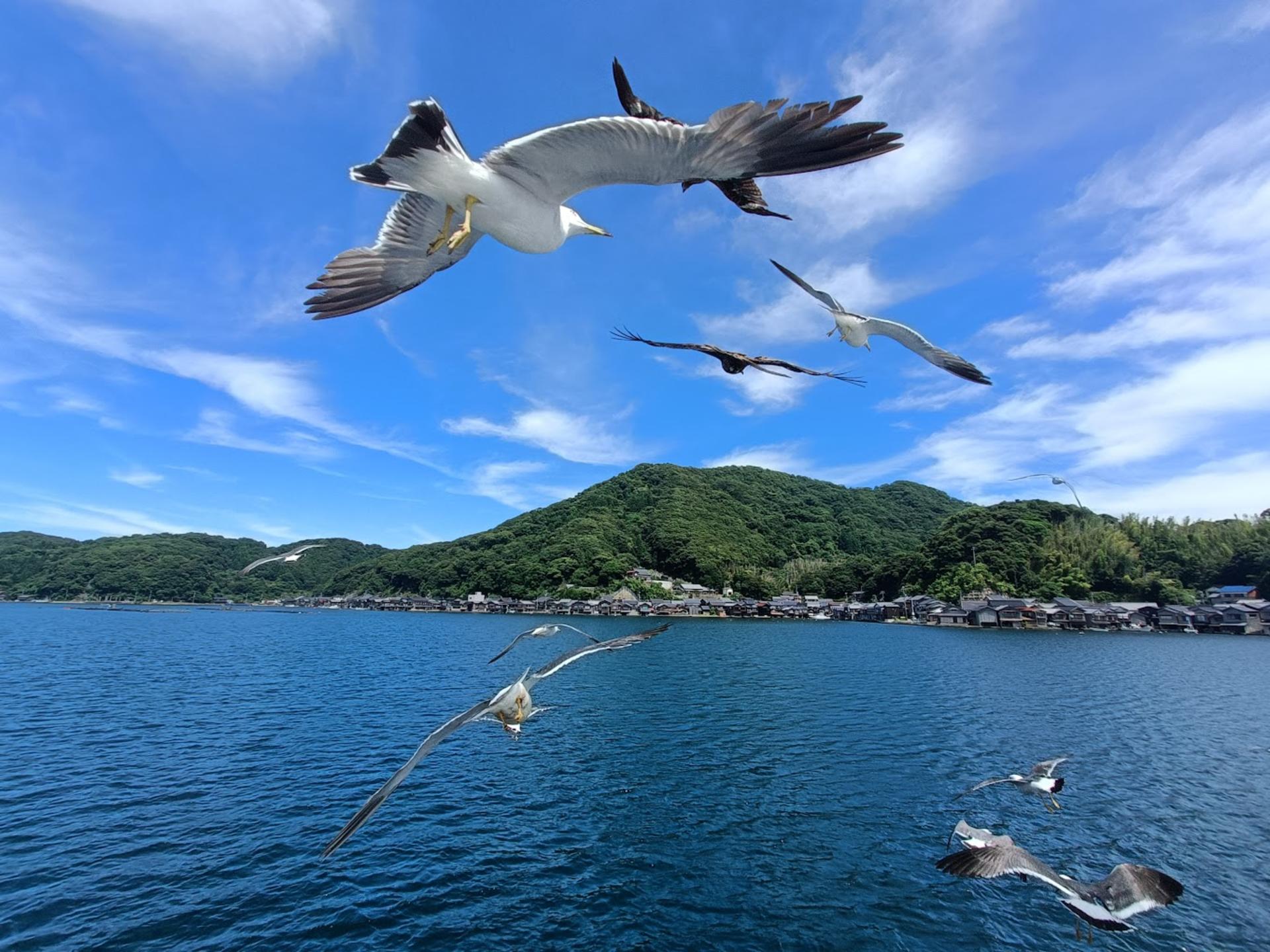 Day Trip to Amanohashidate & Ine no Funaya & Miyama Thatched Village in the Sea of Kyoto (Departure from Osaka or Kyoto) - Thumbnail 15