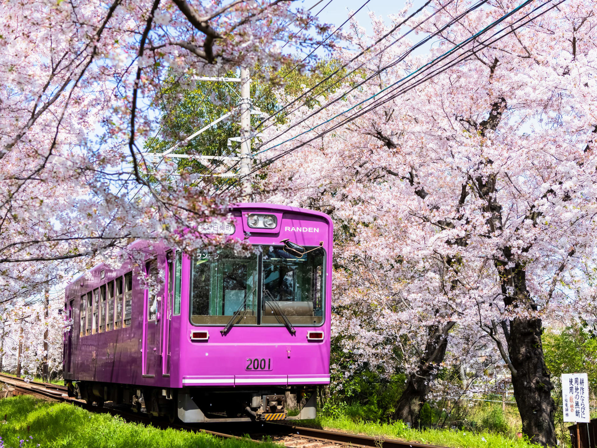 Arashiyama Gourmet Coupon + Randen 1 Day Free Ticket - Thumbnail 8