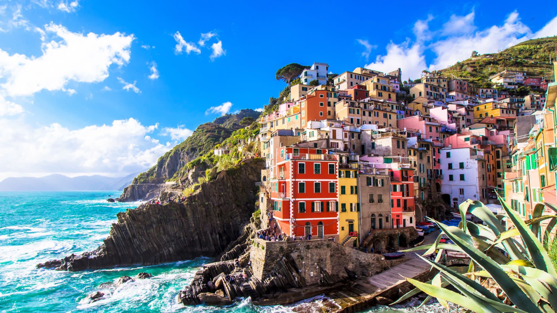 Cinque Terre small group tour from Florence  - Thumbnail 5