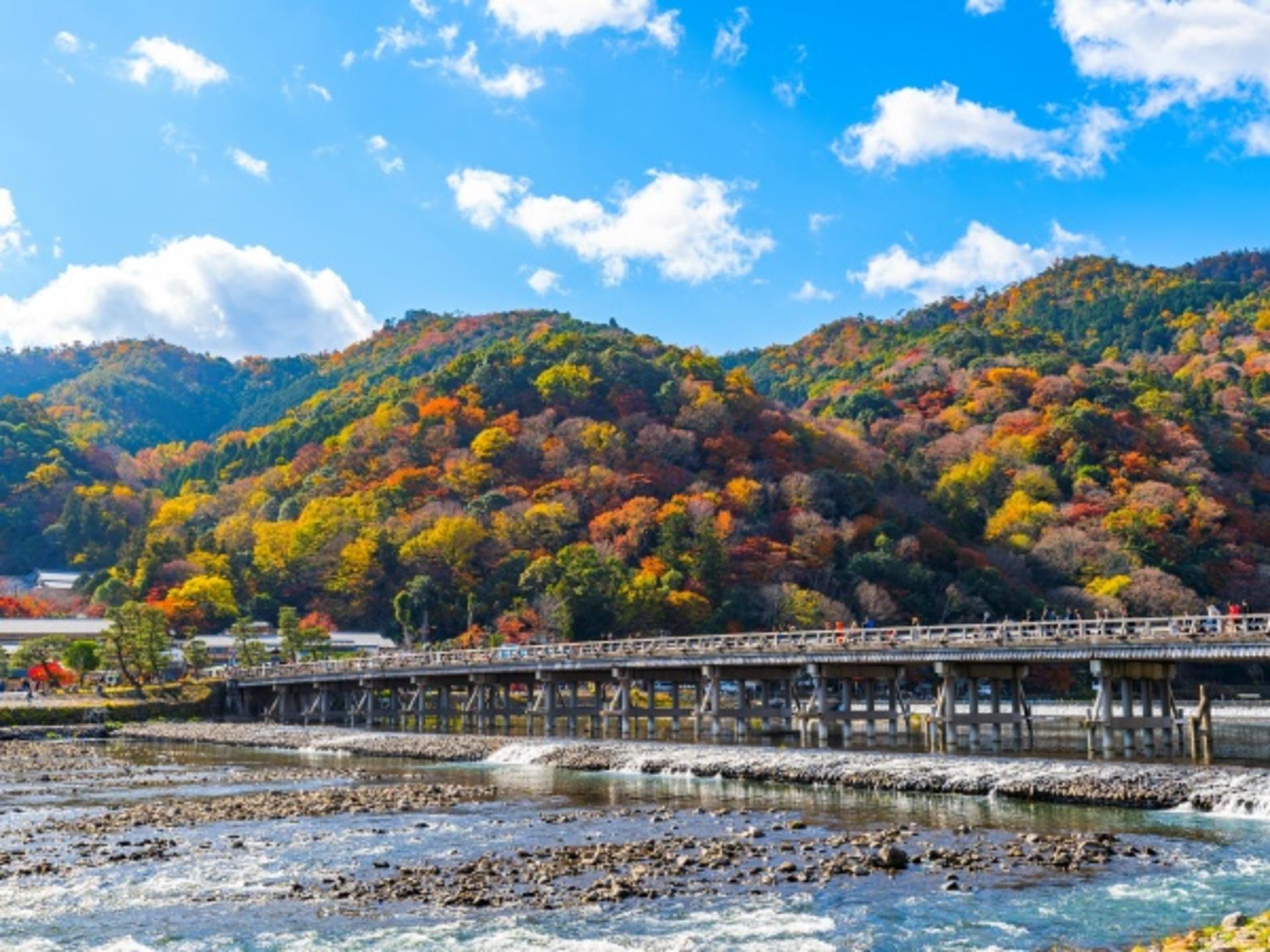 One-day trip to Kyoto's Kifune Shrine, Arashiyama, and Sanzen-in Temple - Thumbnail 14