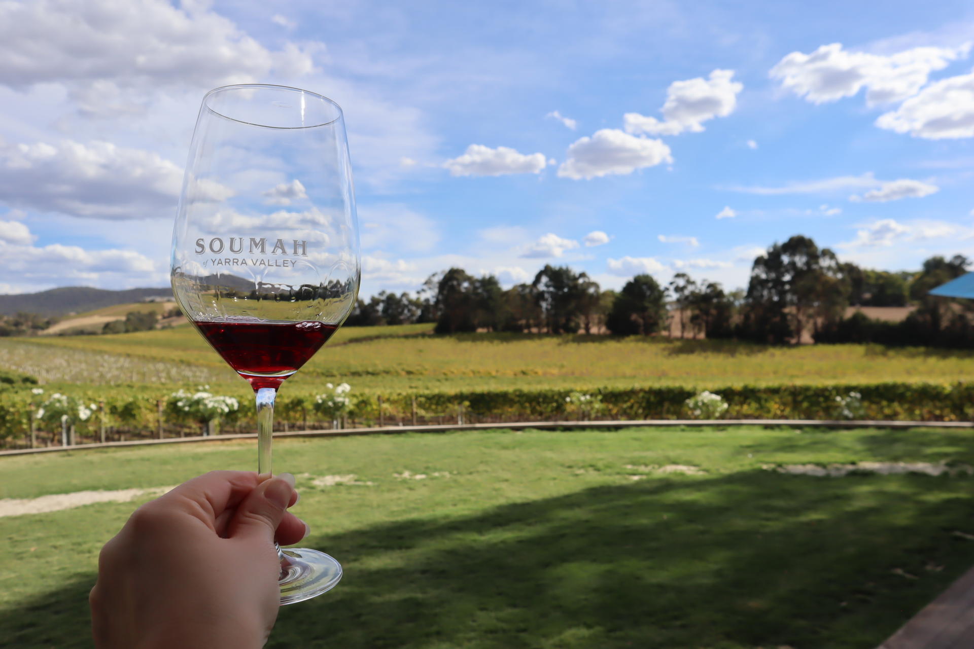 Yarra Valley Small-Group Day Tour with Redwoods, Wine, & Wildlife - Thumbnail 13