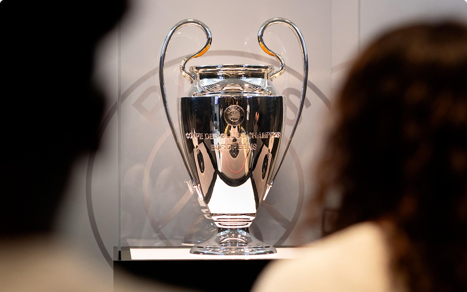 PSG Stadium Tour Ticket - Thumbnail 5