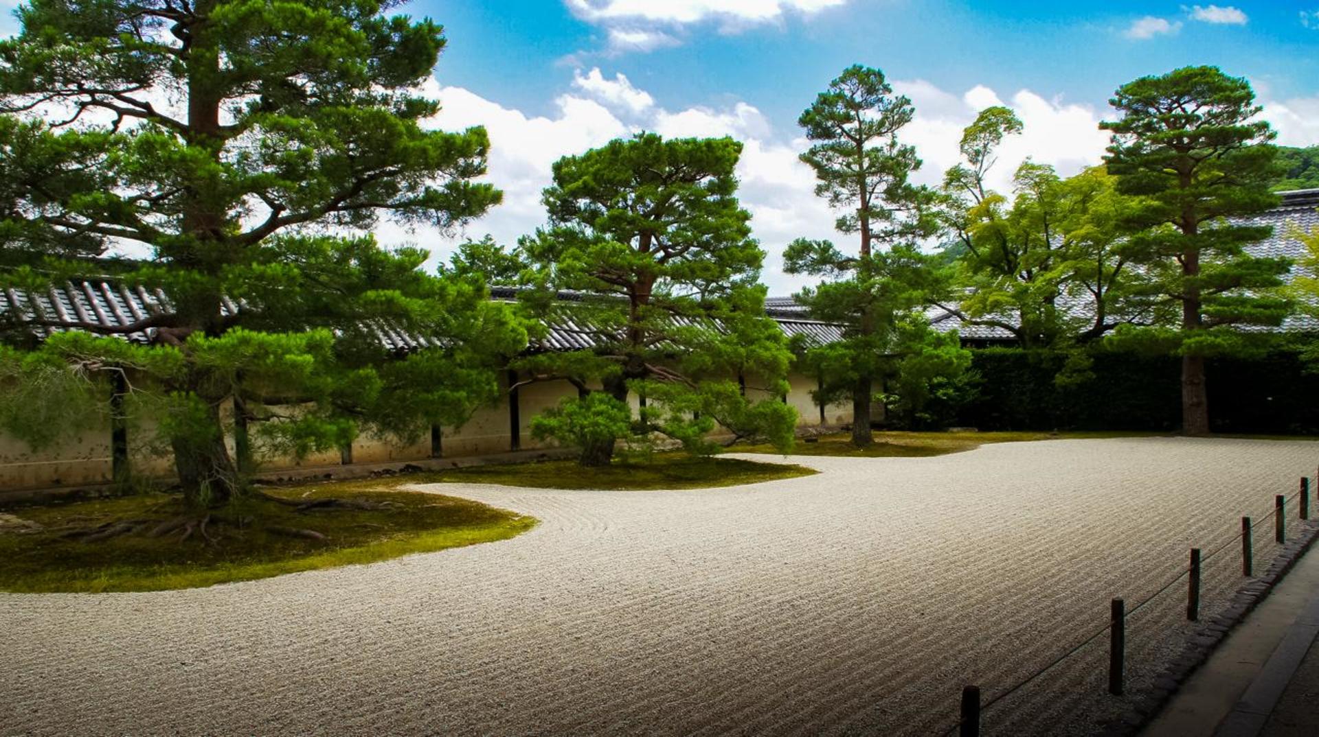 Kyoto: Arashiyama Bamboo, Matcha, Monkeys & Temple Tour - Thumbnail 11