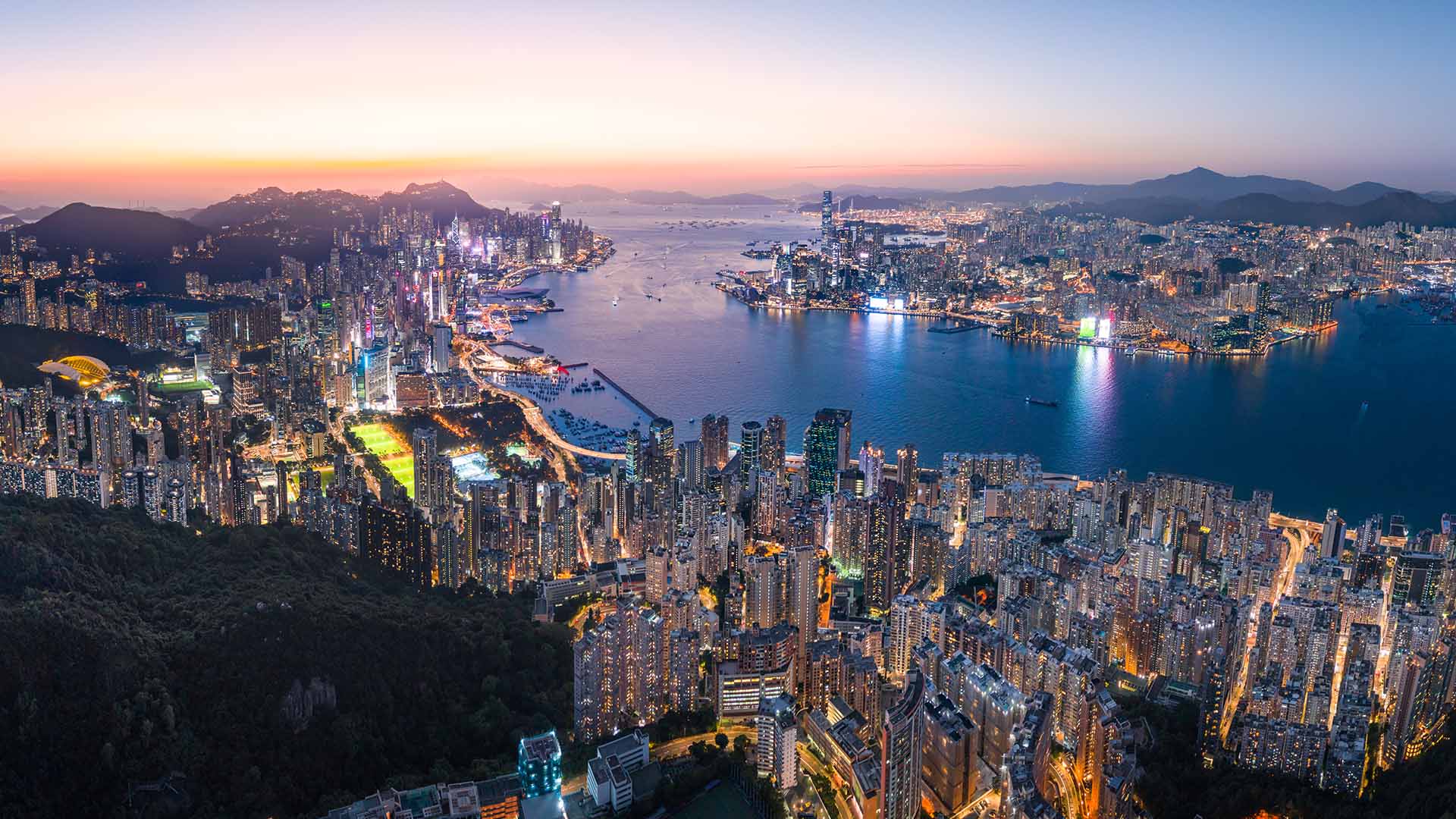 Hong Kong Tai Kwun and Victoria Peak Half-Day Small Group Tour - Thumbnail 4