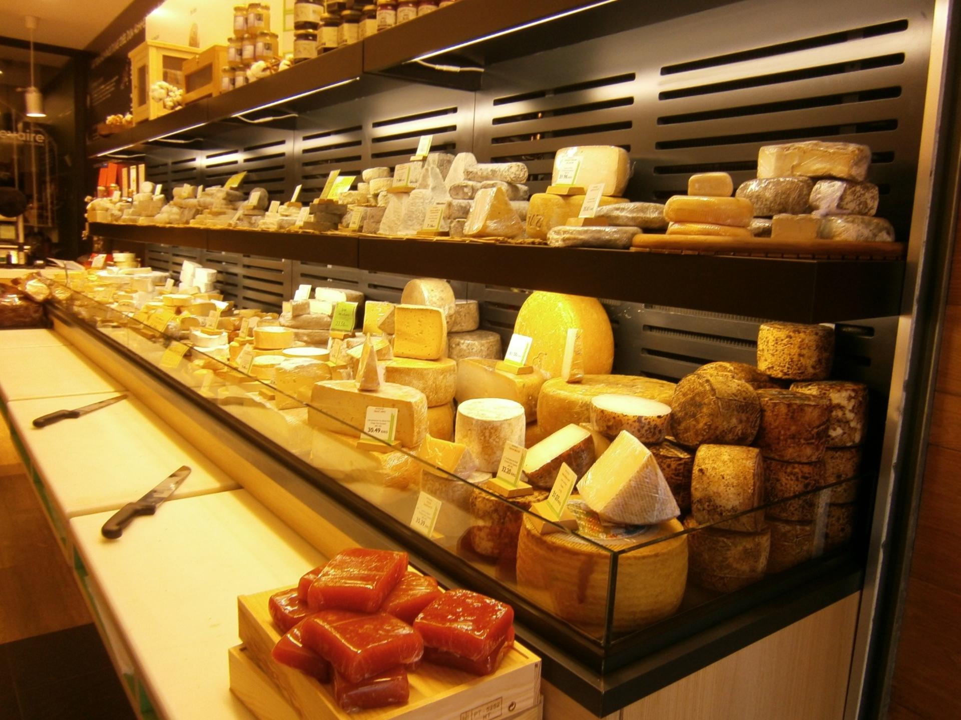 Bordeaux Historic and Gourmet City Tour - Image 1