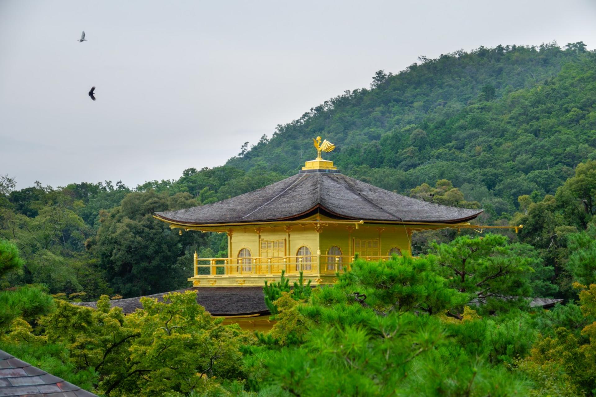 Kyoto & Uji World Heritage One-Day Tour: Kinkaku-ji Temple & Kiyomizu-dera Temple & Byodo-in Temple & Uji Matcha Food Street (Departing from Osaka or Kyoto) - Thumbnail 4