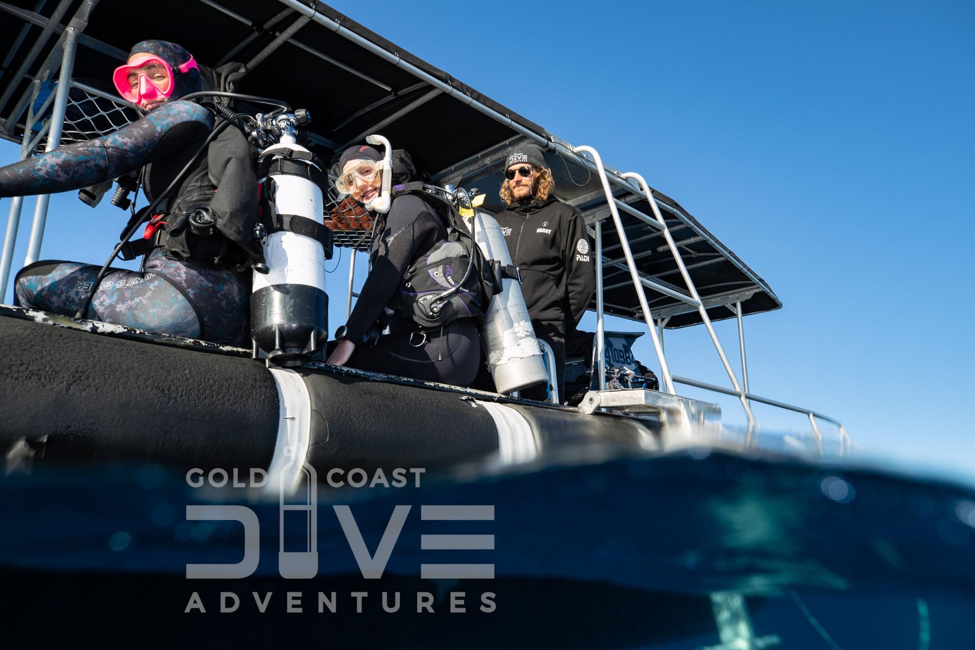 Wonder Reef Diving Experience in Gold Coast - Thumbnail 3