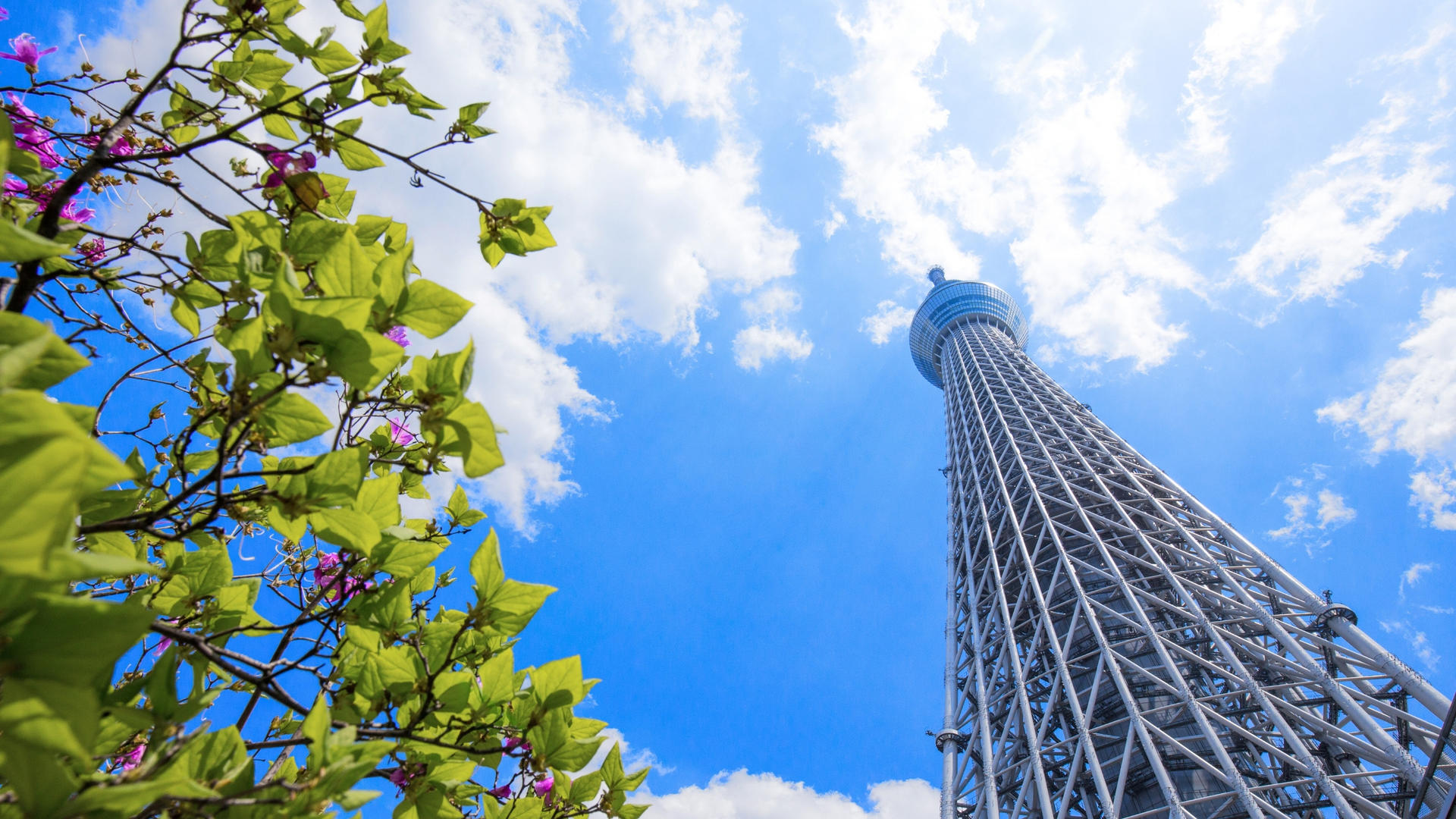 Tokyo City, Private Customized Day Trip with English-speaking Driver - Thumbnail 5