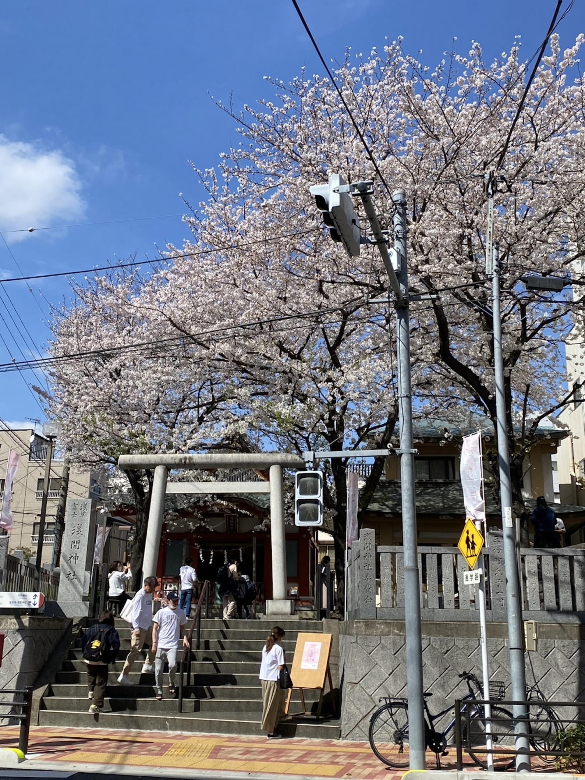 Tokyo, Asakusa Sensoji, Imado Shrine Goshuin Walking Tour - Thumbnail 15