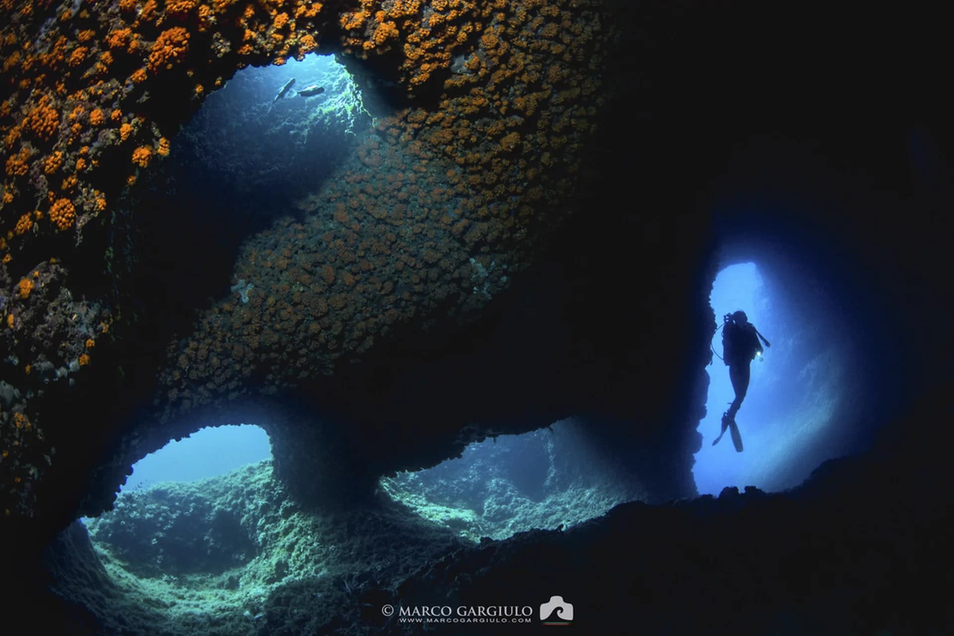 Seaside Skills: Open Water Diver Course in Sorrento with PADI Center - Image 1