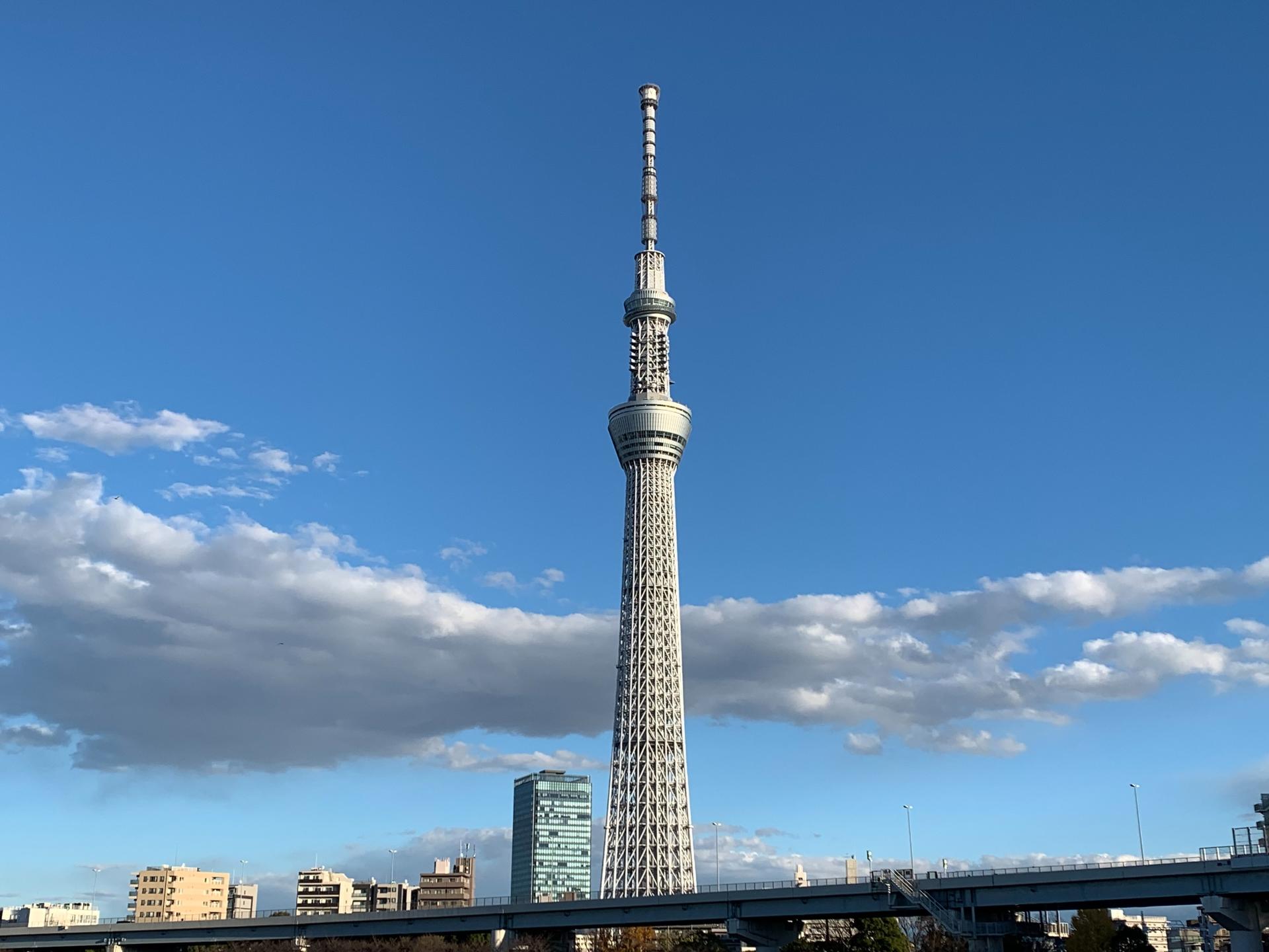 Tokyo: Skytree and Asakusa History Exploration - Image 1