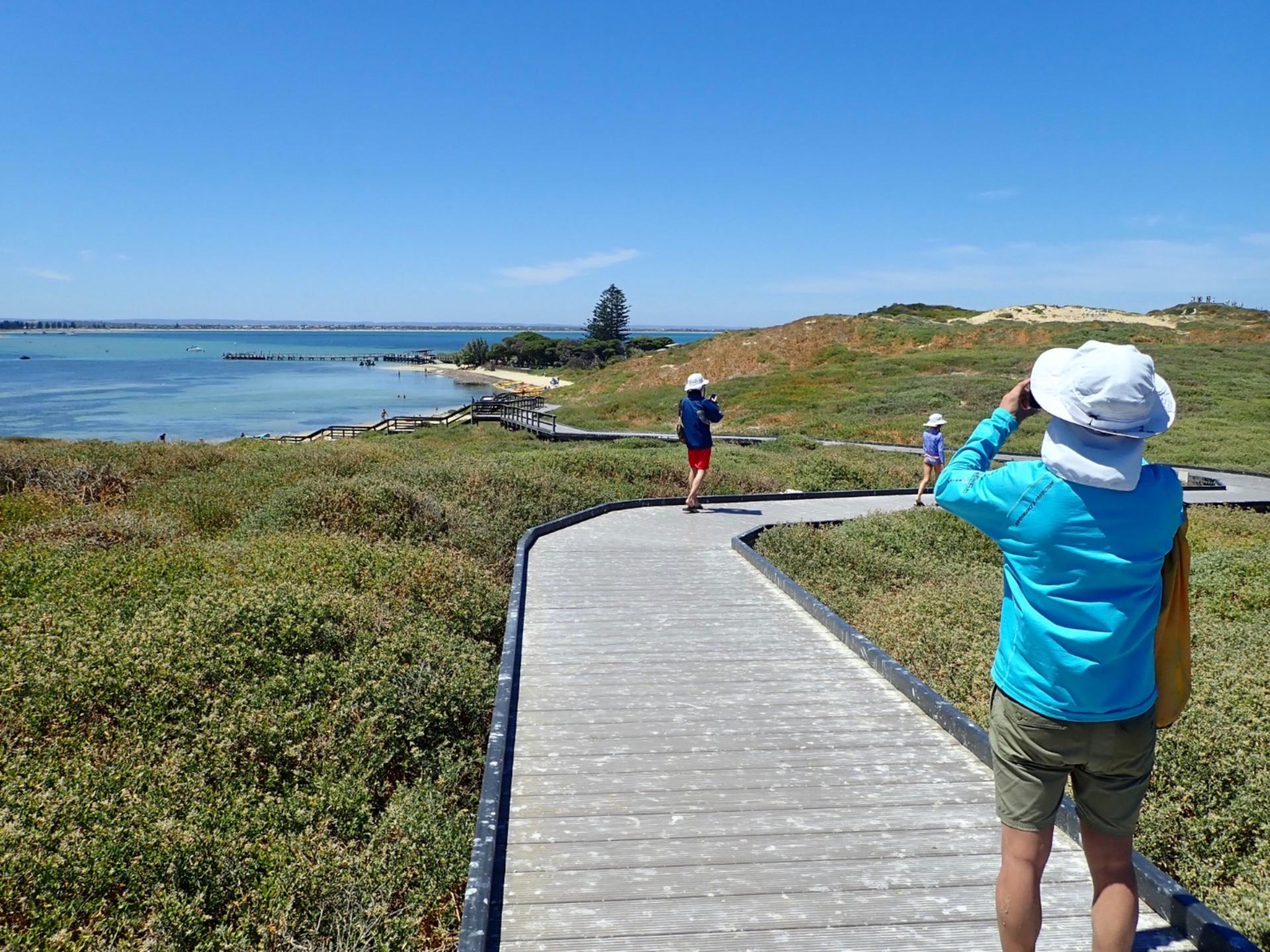 Penguin and Seal Island Sea Kayak Tour from Perth - Thumbnail 2