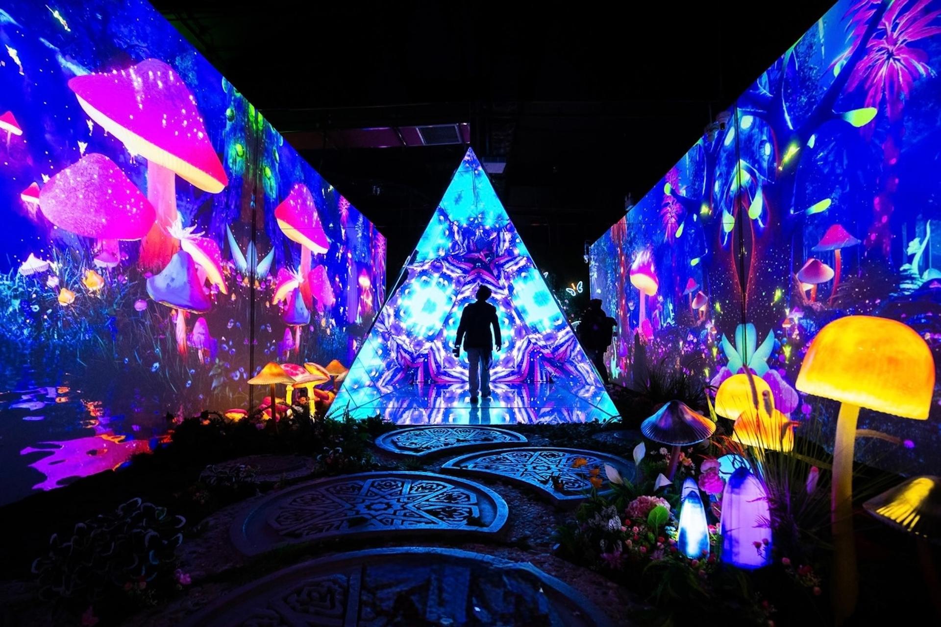 X Space Immersive - Digital Art Experience Ticket in Ha Noi - Thumbnail 2