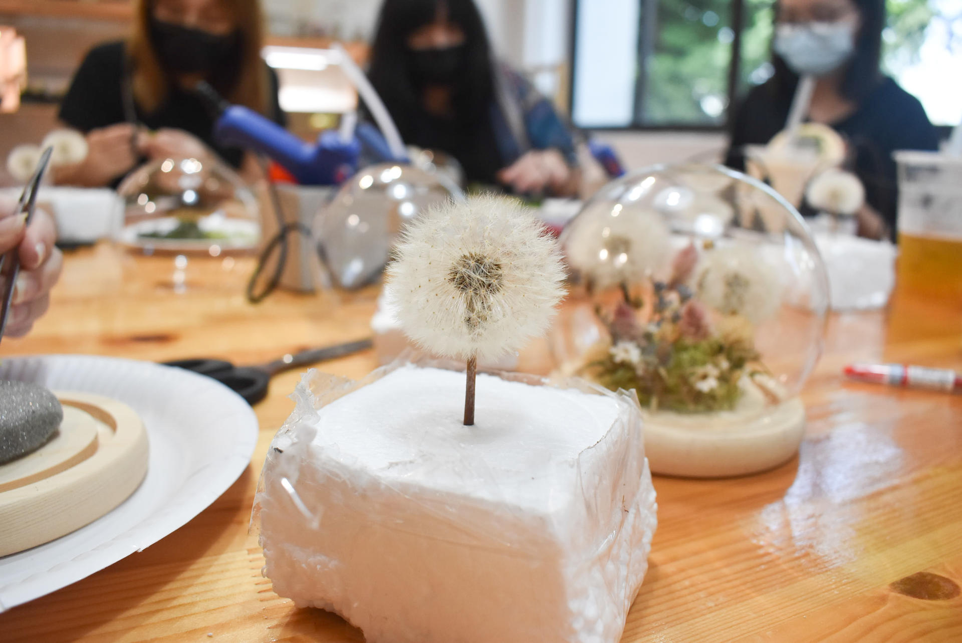 Wild Dandelions Dome Workshop in Marymount - Thumbnail 2