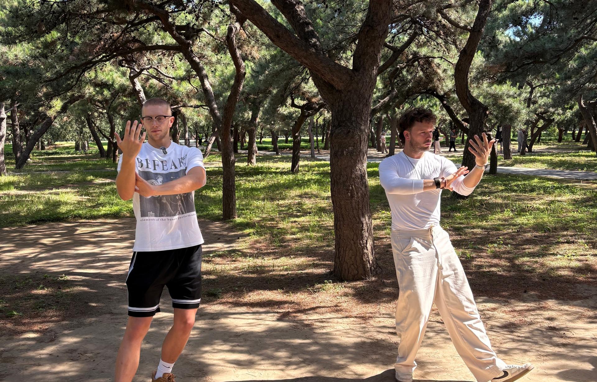 Beijing Temple of Heaven Half-Day Tai Chi Experience - Image 1