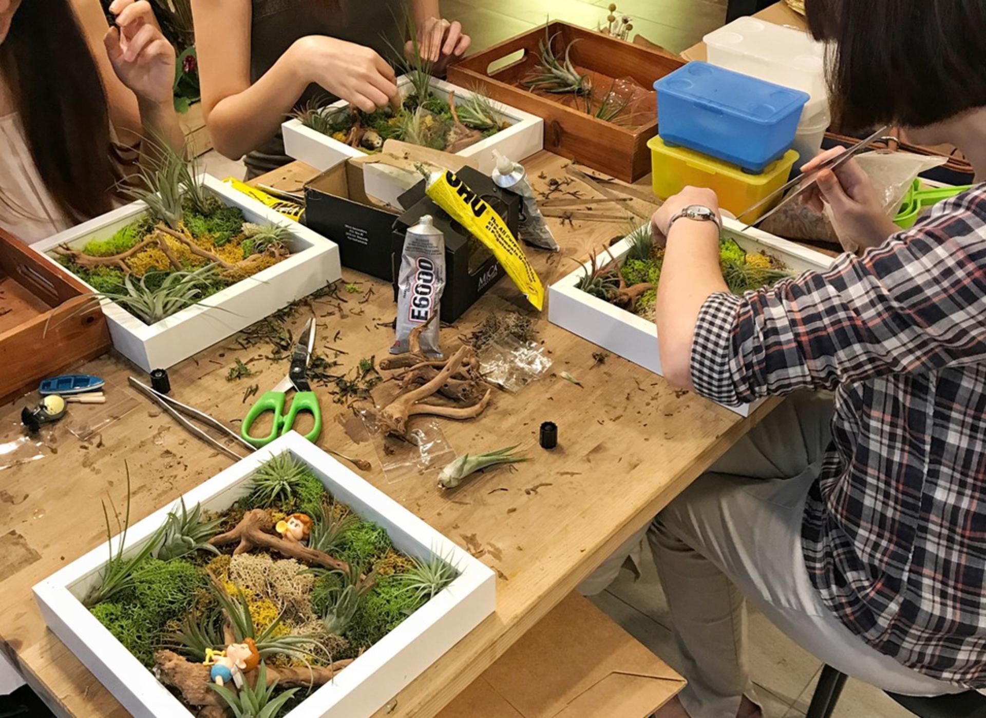 Terrarium and Airplant Greenwall Workshop in Funan & PLQ - Thumbnail 2