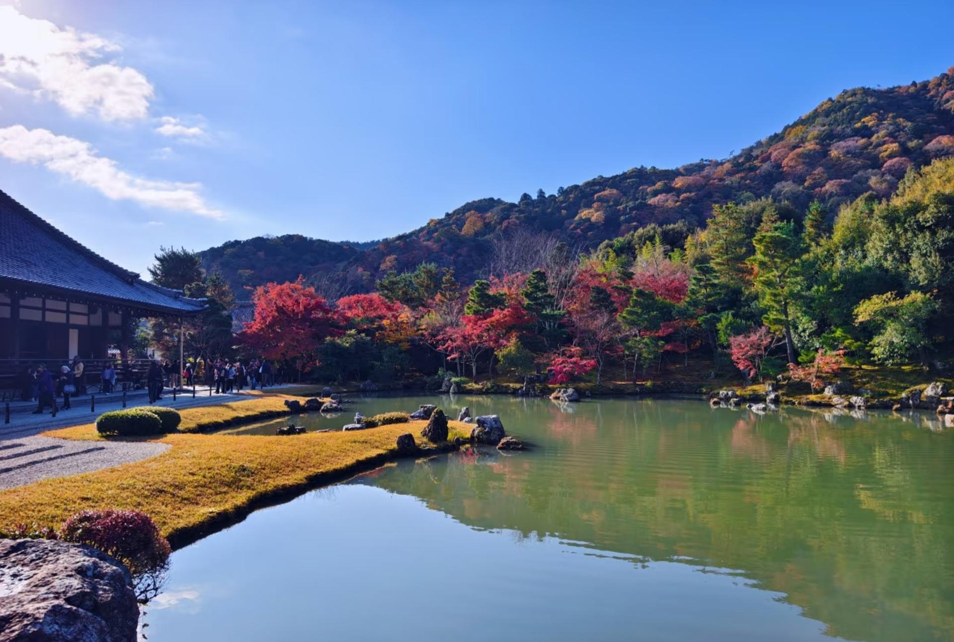 Kyoto one-day private tour (1~4 people) - Thumbnail 11