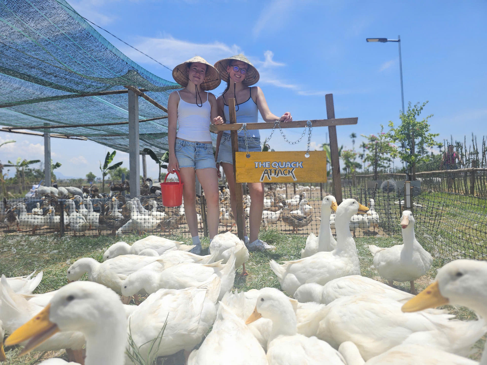 From Hoi An: Duck Stop, Basket Boat and Cooking Class - Thumbnail 2