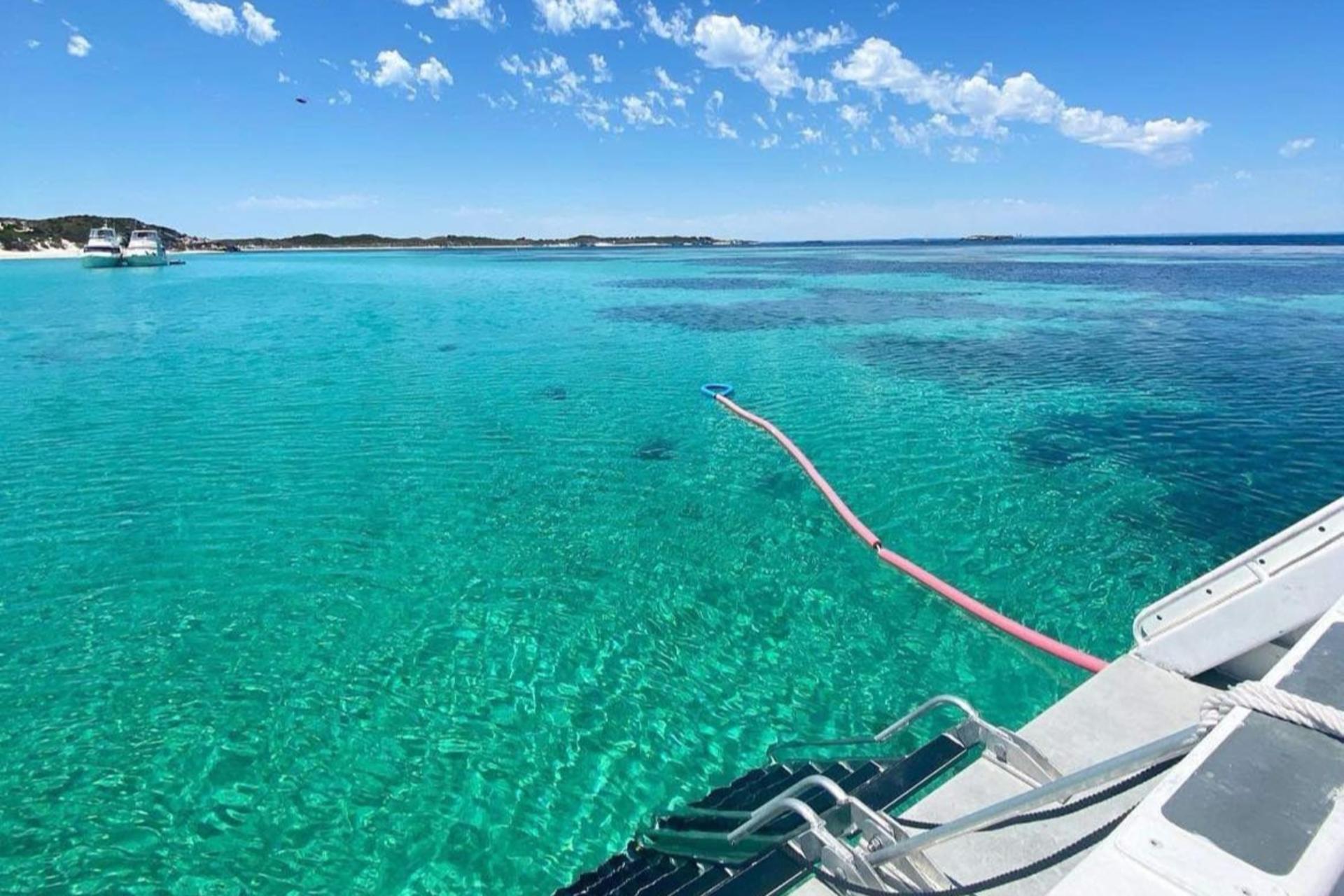 Rottnest Island Guided Snorkelling Tour - Thumbnail 12