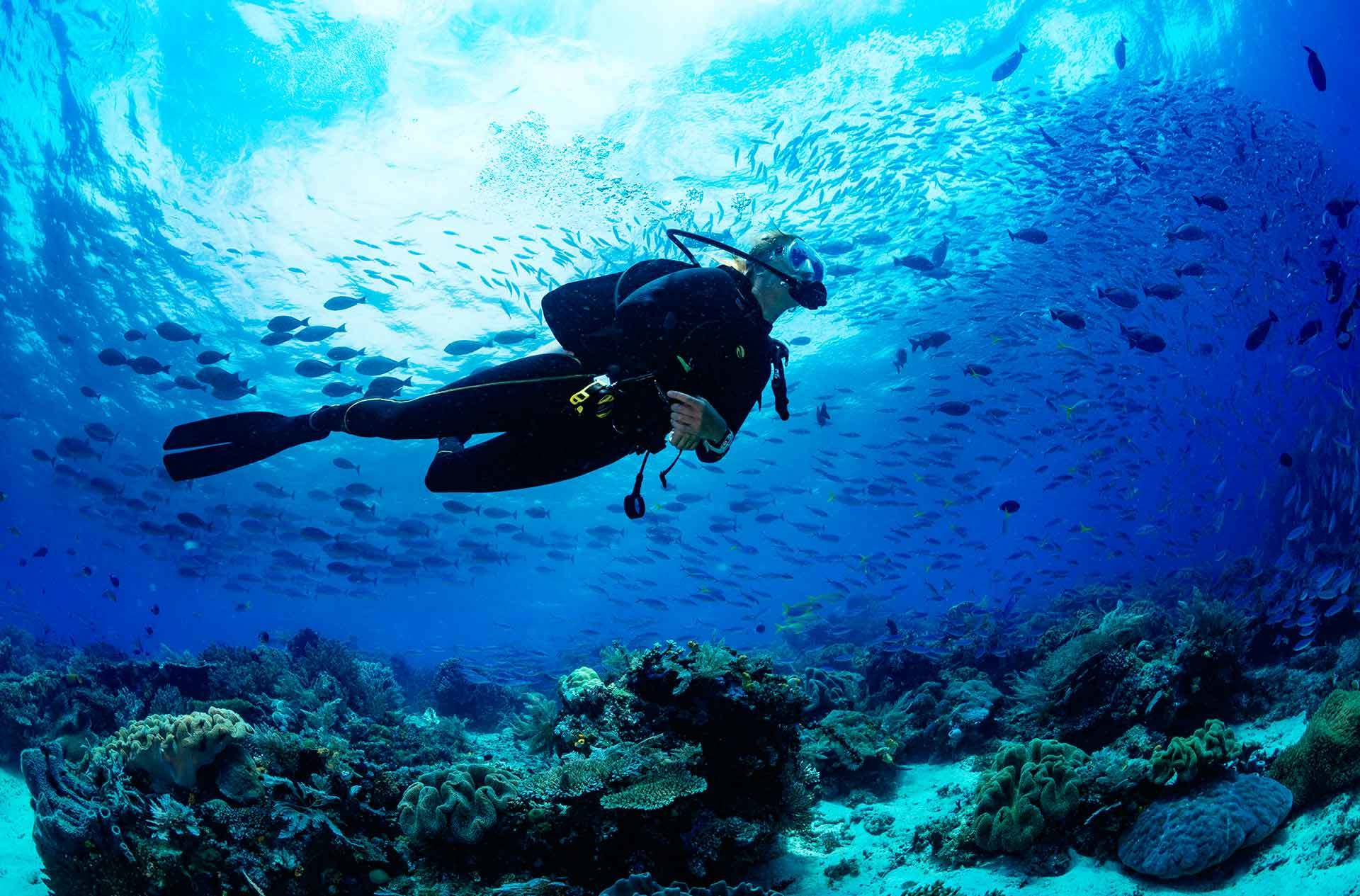 Scuba Diving in Kemer from Antalya - Thumbnail 4