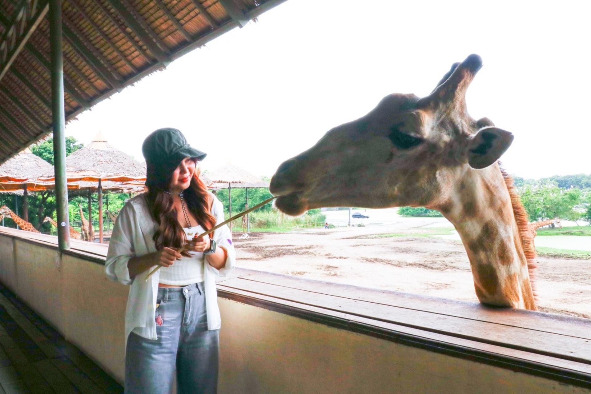 Safari World Bangkok Ticket with Private ALPHARD transfer - Thumbnail 21