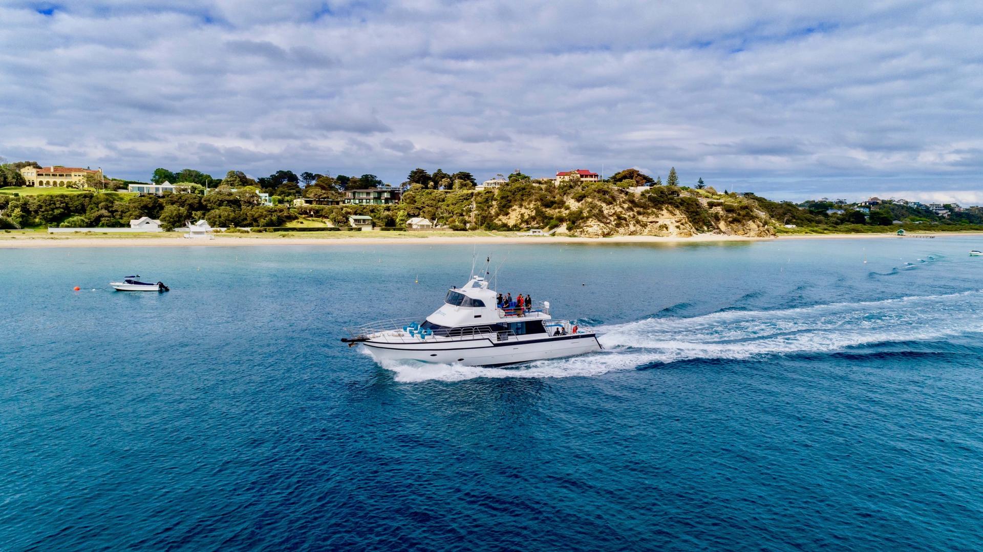Snorkel with Seals and Sea Dragons Mornington Peninsula - Thumbnail 4