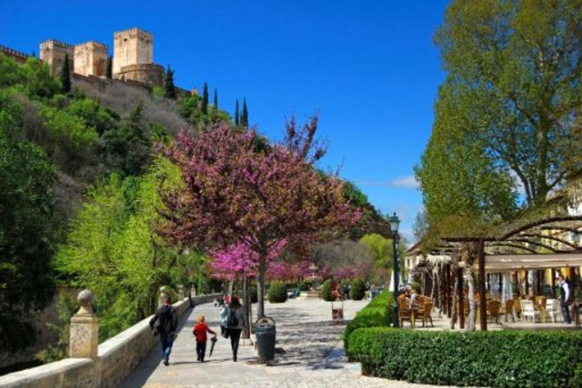 Albaicin and Sacromonte Walking Tour - Thumbnail 6