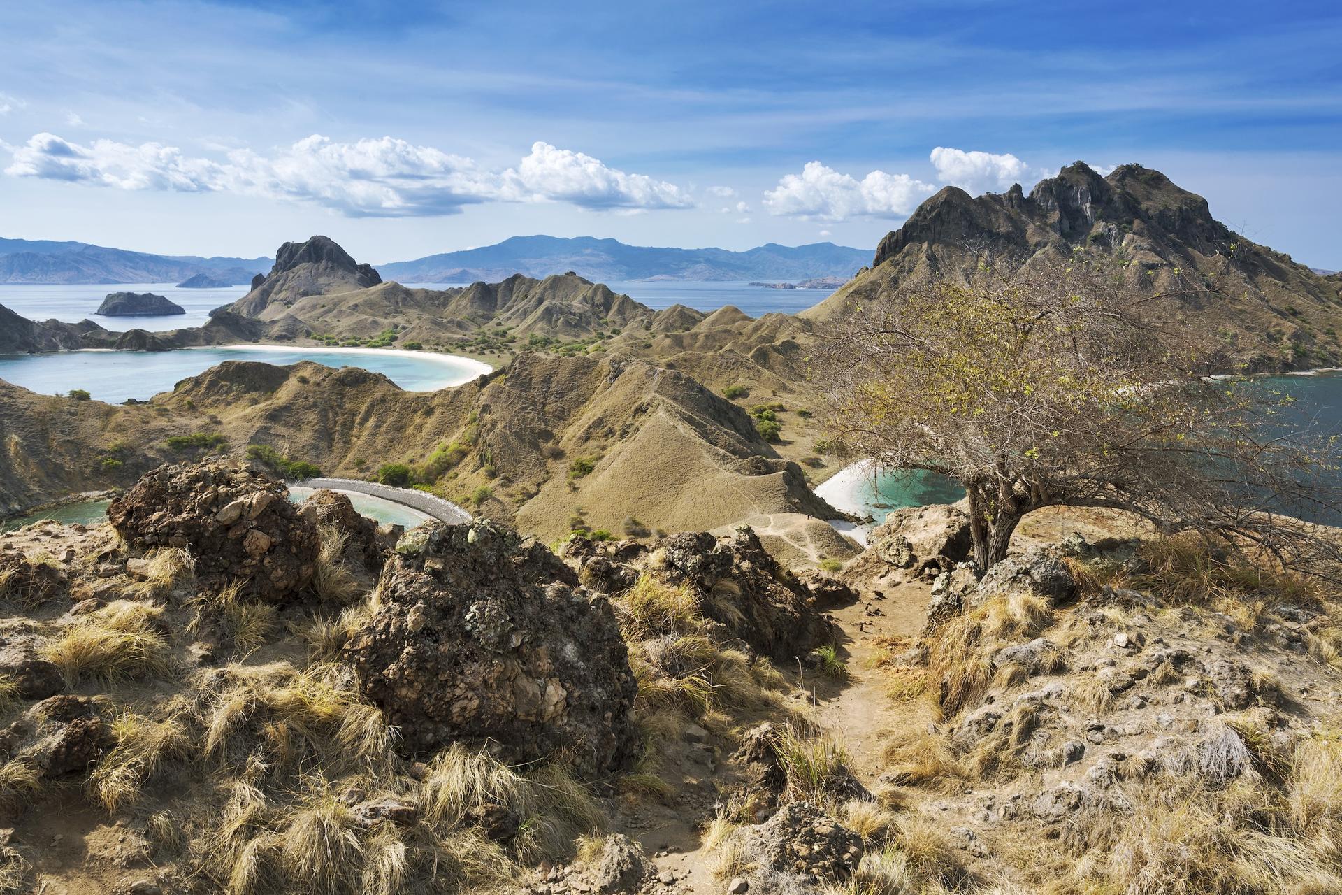 Full Day Speedboat Tour with Free Documentation from Labuan Bajo - Thumbnail 8