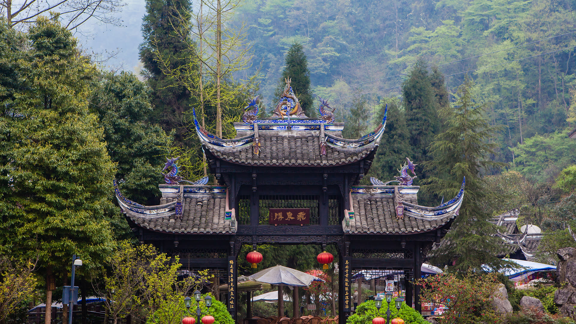 Chengdu Suburbs: Optional Dujiangyan/Giant Panda Base/Mount Qingcheng/Sanxingdui Private Day Tour - Thumbnail 9