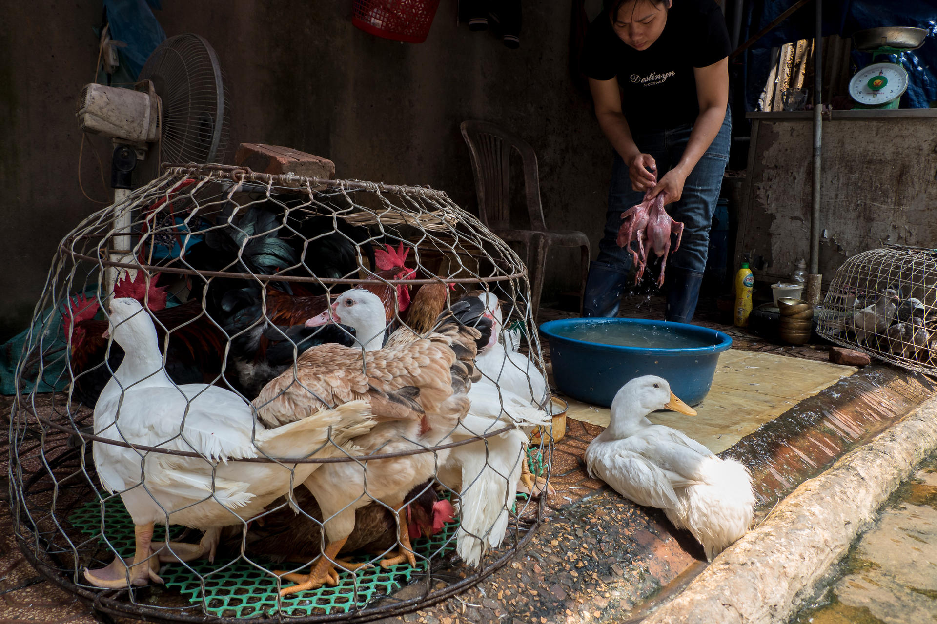 Hanoi City Photography Guide Tours - Thumbnail 9