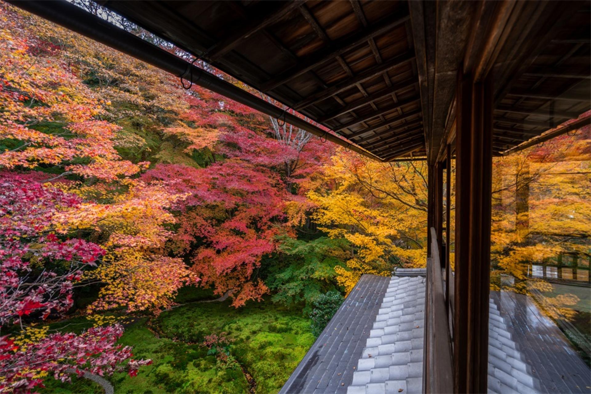 One-day trip to Kyoto's Kifune Shrine, Arashiyama, and Sanzen-in Temple - Thumbnail 2