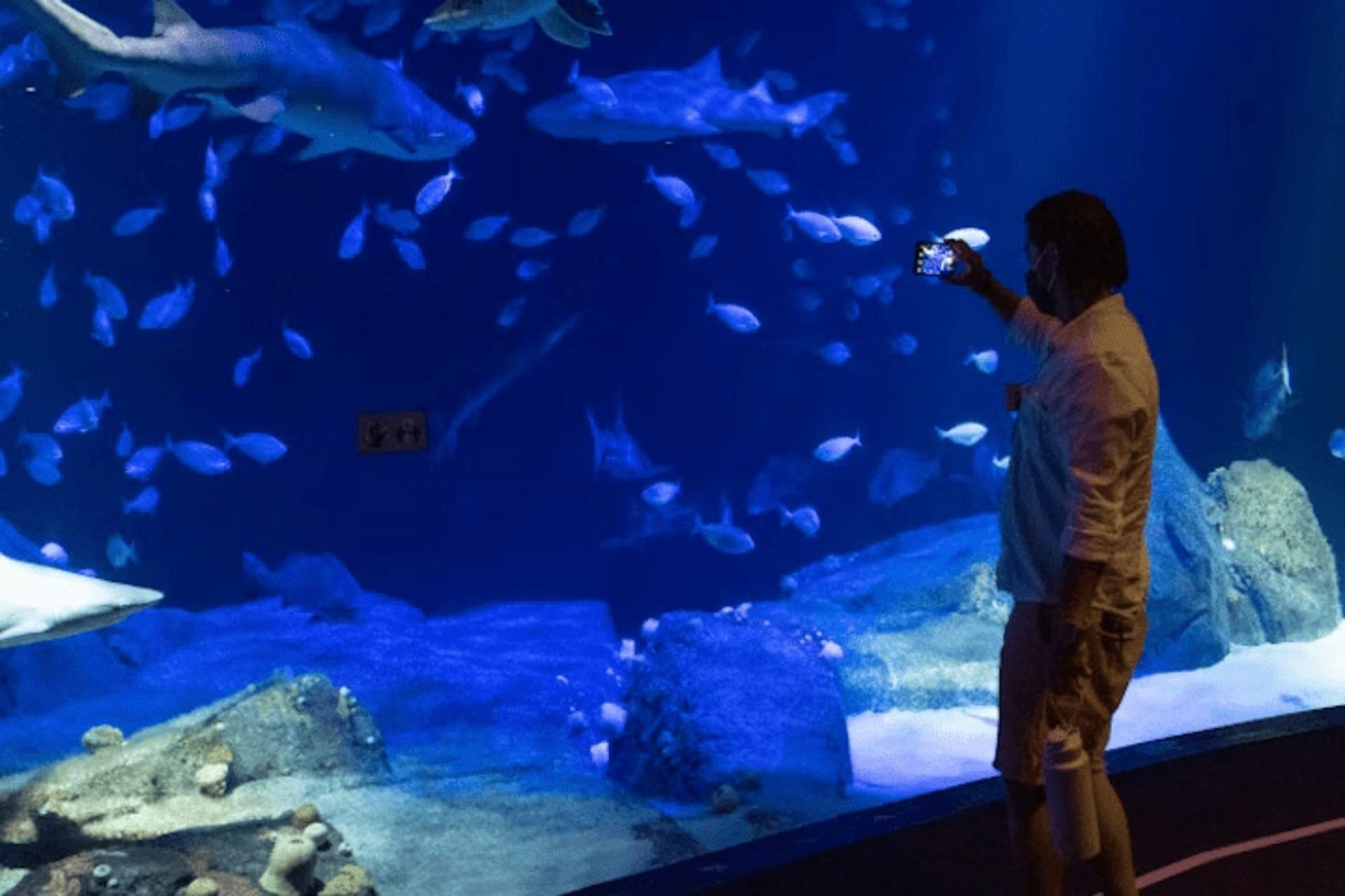 New York Aquarium ticket - Thumbnail 5