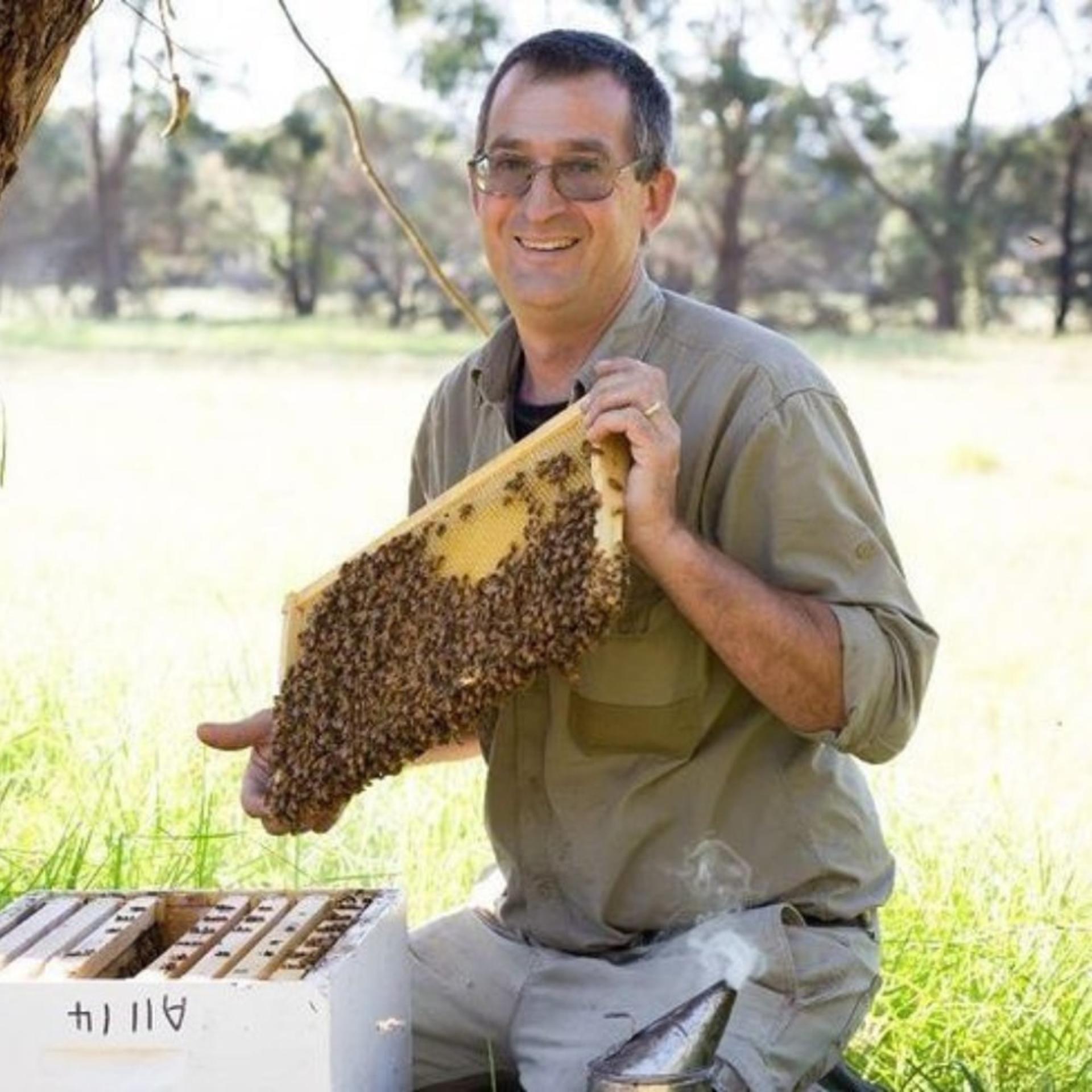 Honeybee Discovery Session - Thumbnail 4