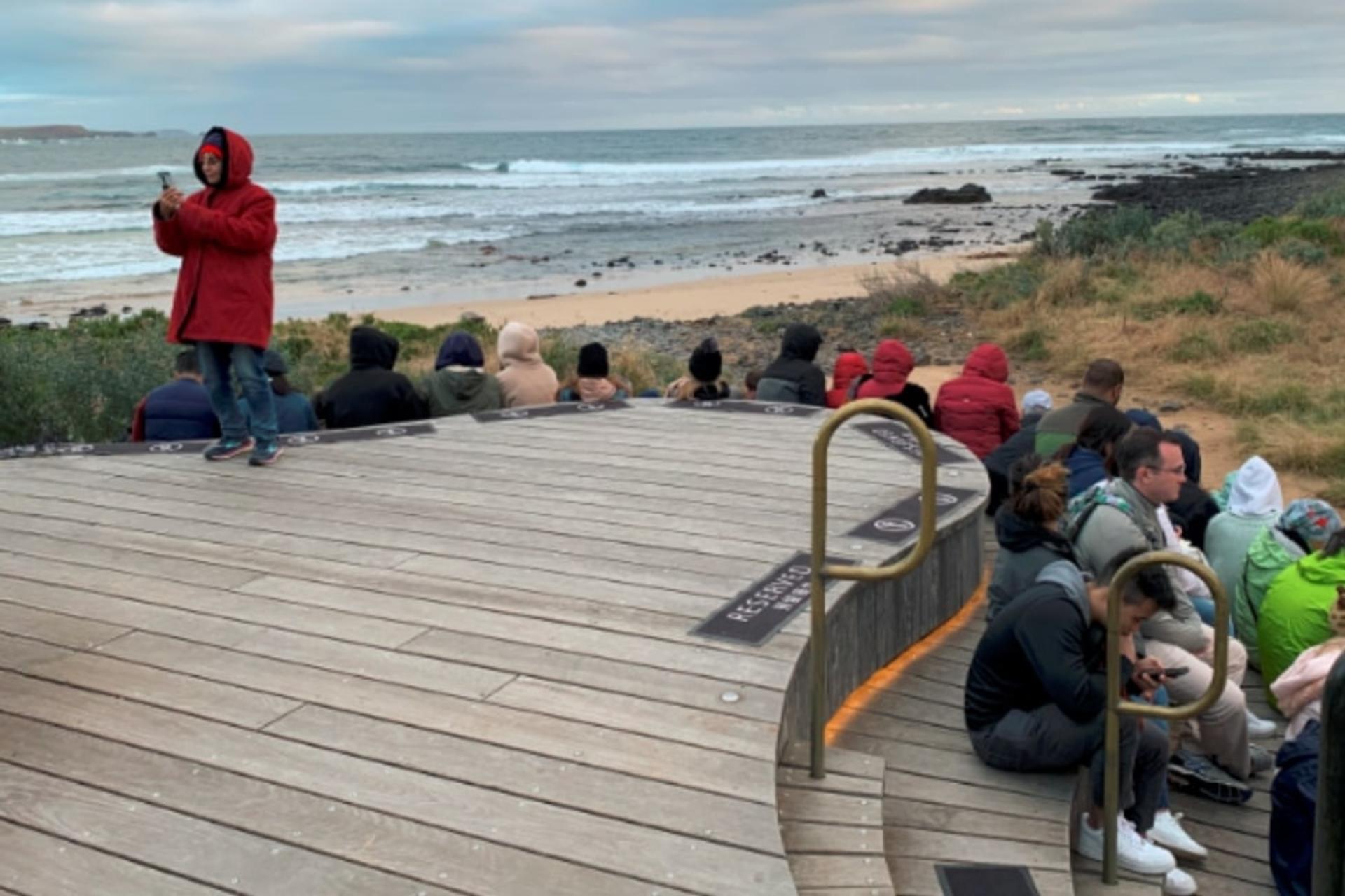 Melbourne Phillip Island Full-Day Private Penguin Parade Tour - Thumbnail 3