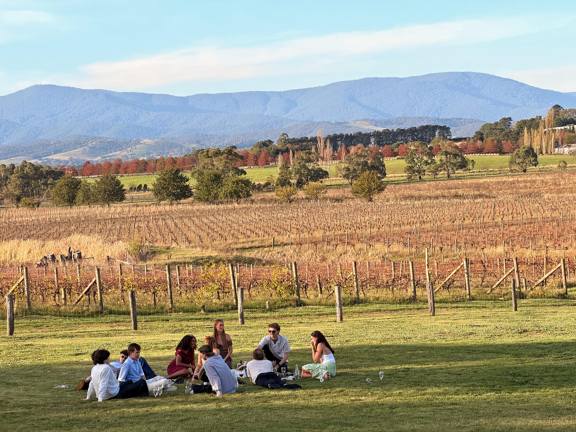 Relaxed Half Day Yarra Valley Wine Tour from Melbourne - Thumbnail 33