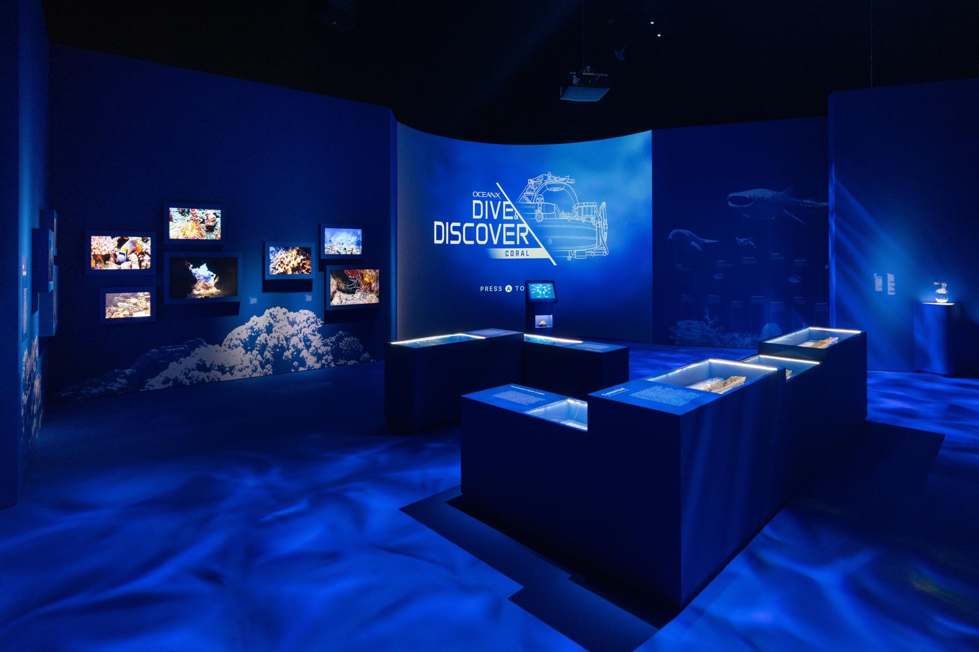 ArtScience Museum at Marina Bay Sands Ticket - Thumbnail 8