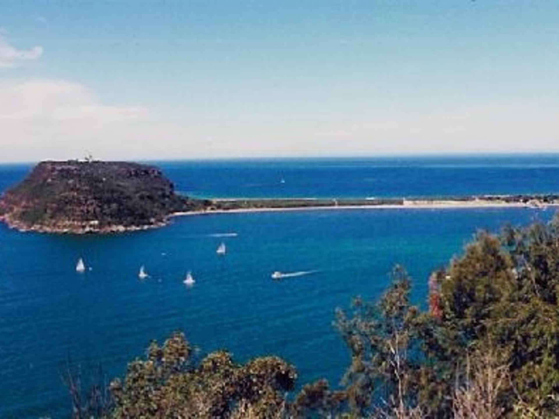 Sydney Northern Wilderness and Coastal Tour - Thumbnail 8