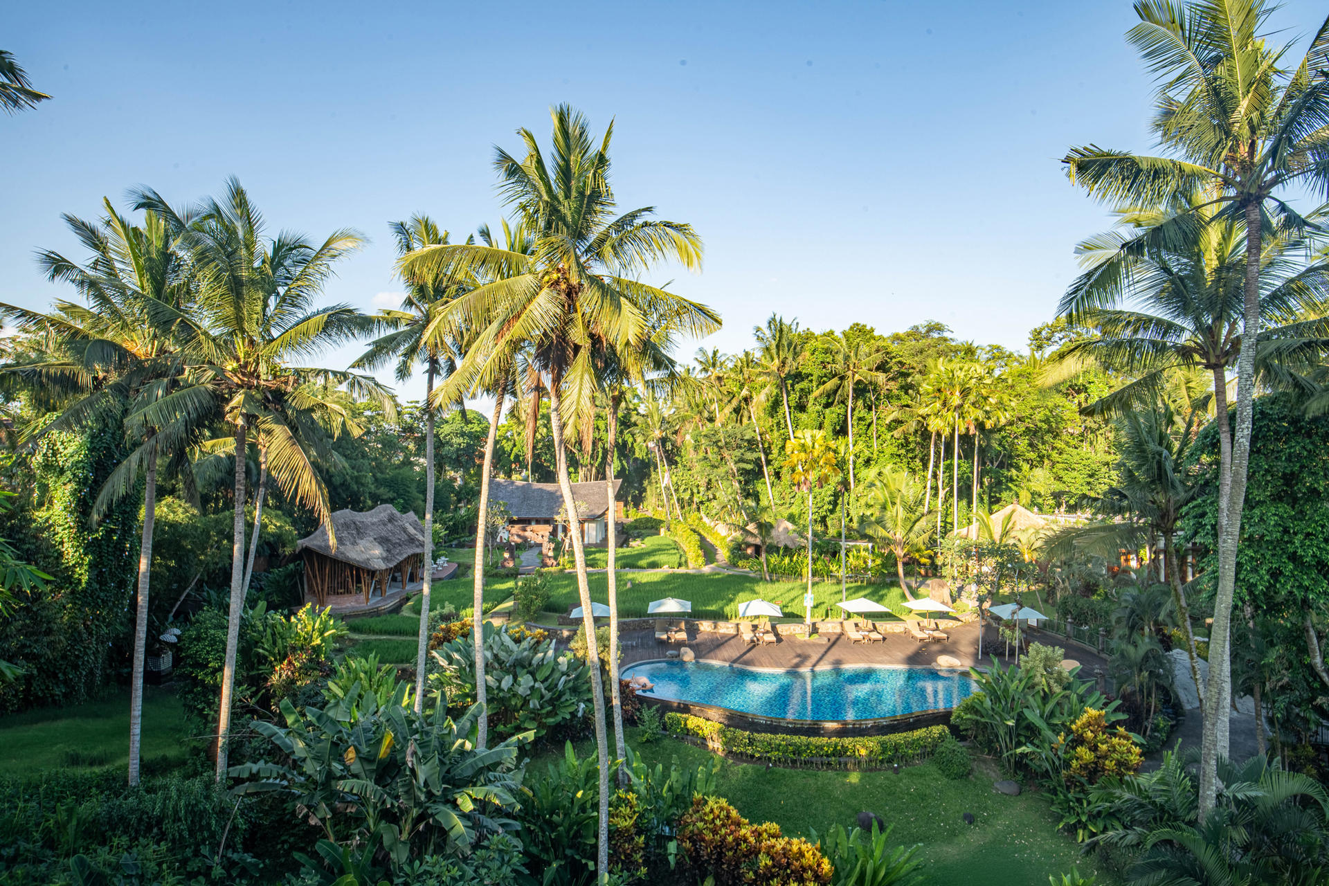 The Cuisine Cooking Class at Plataran Ubud - Thumbnail 8