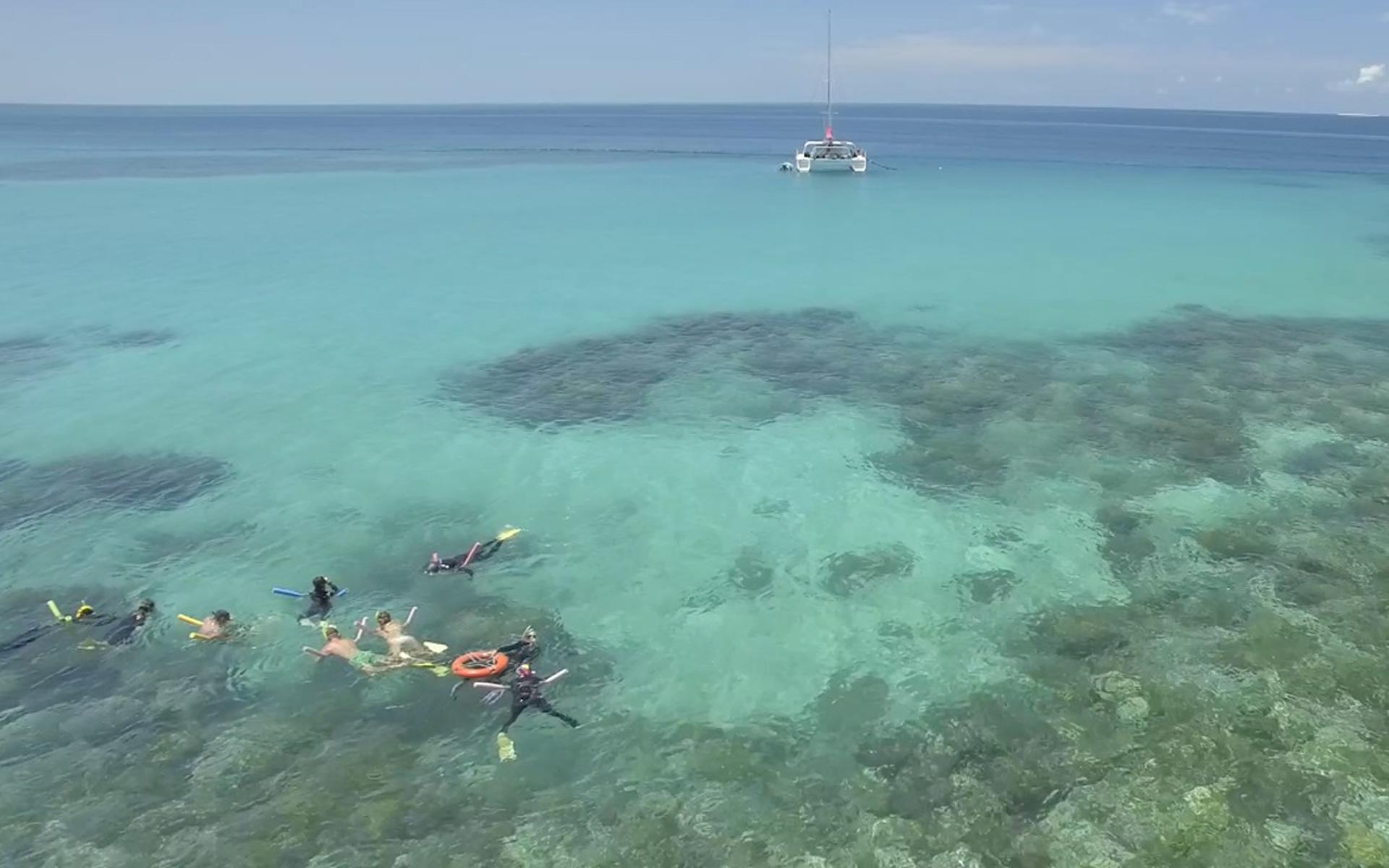 Reef Daytripper Snorkel and Scuba Dive Experience - Thumbnail 7