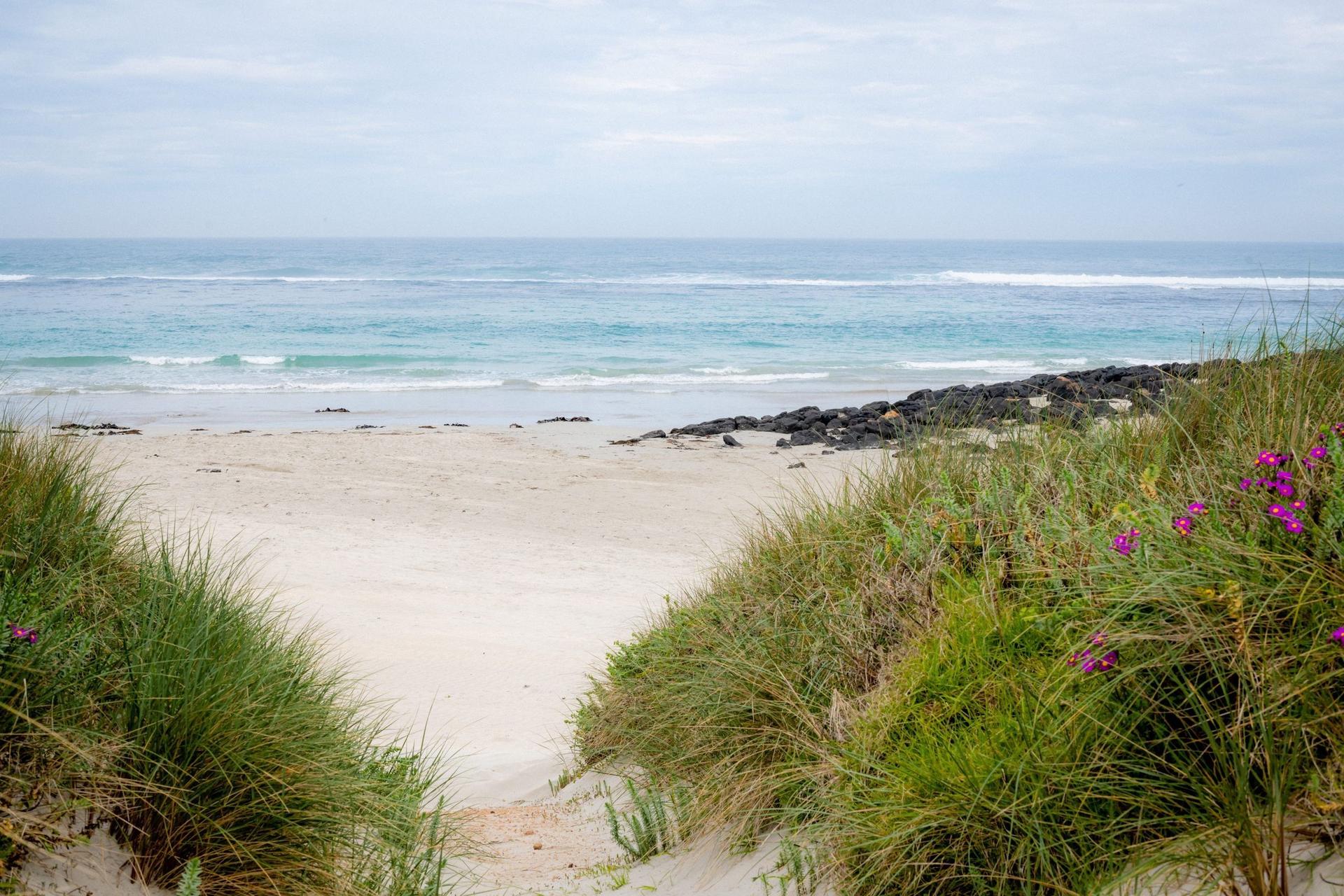 Great Ocean Road and 12 Apostles Tour - Thumbnail 7